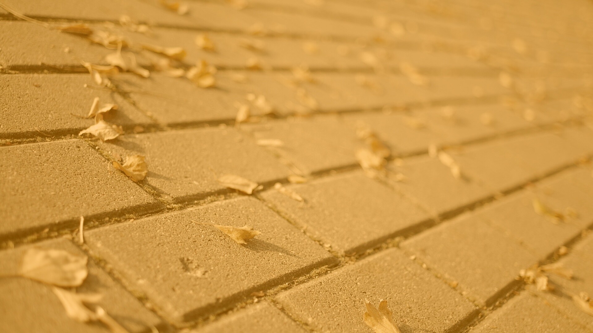 Тротуар обои