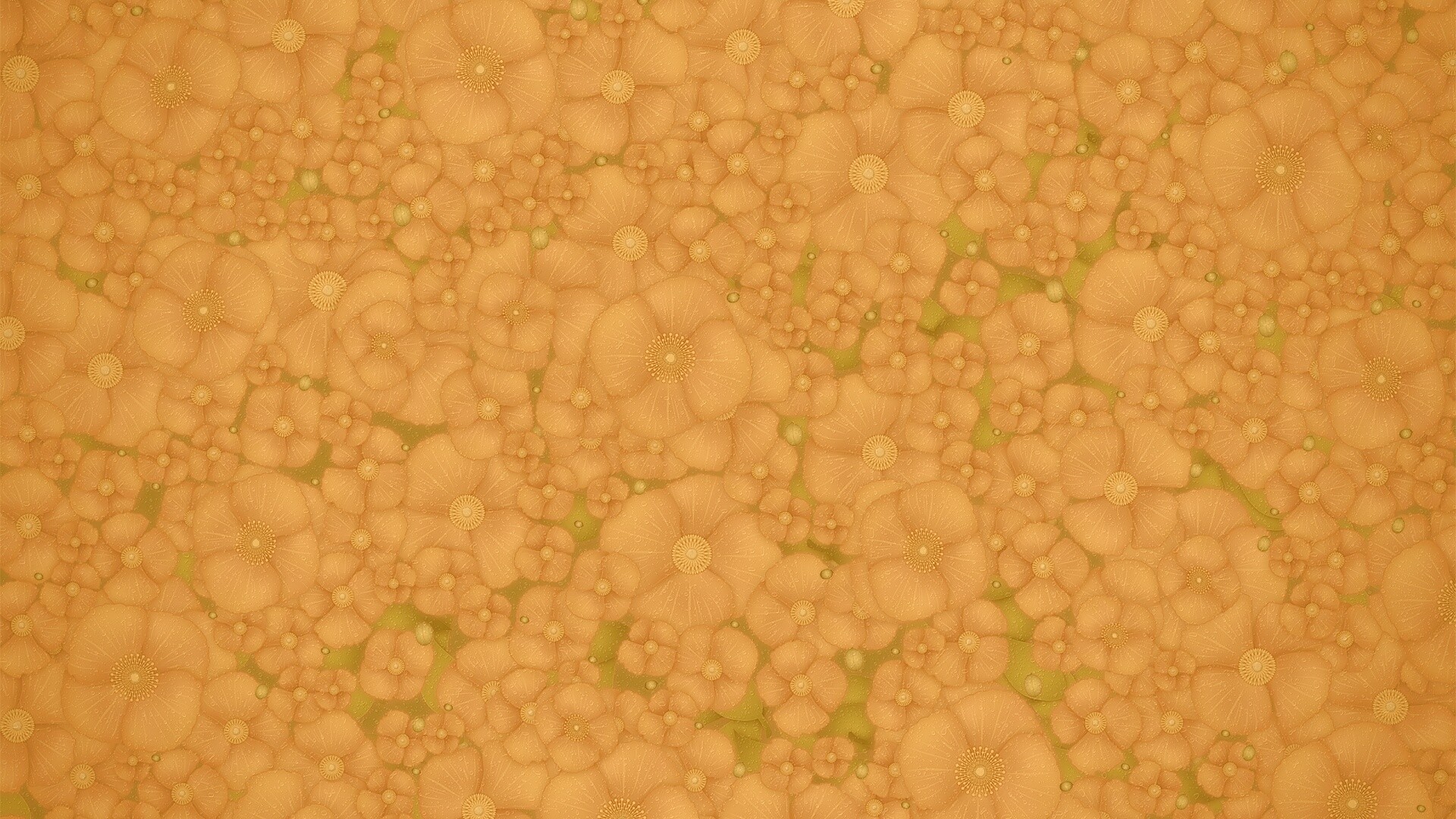 Рисунко с красными цветами обои