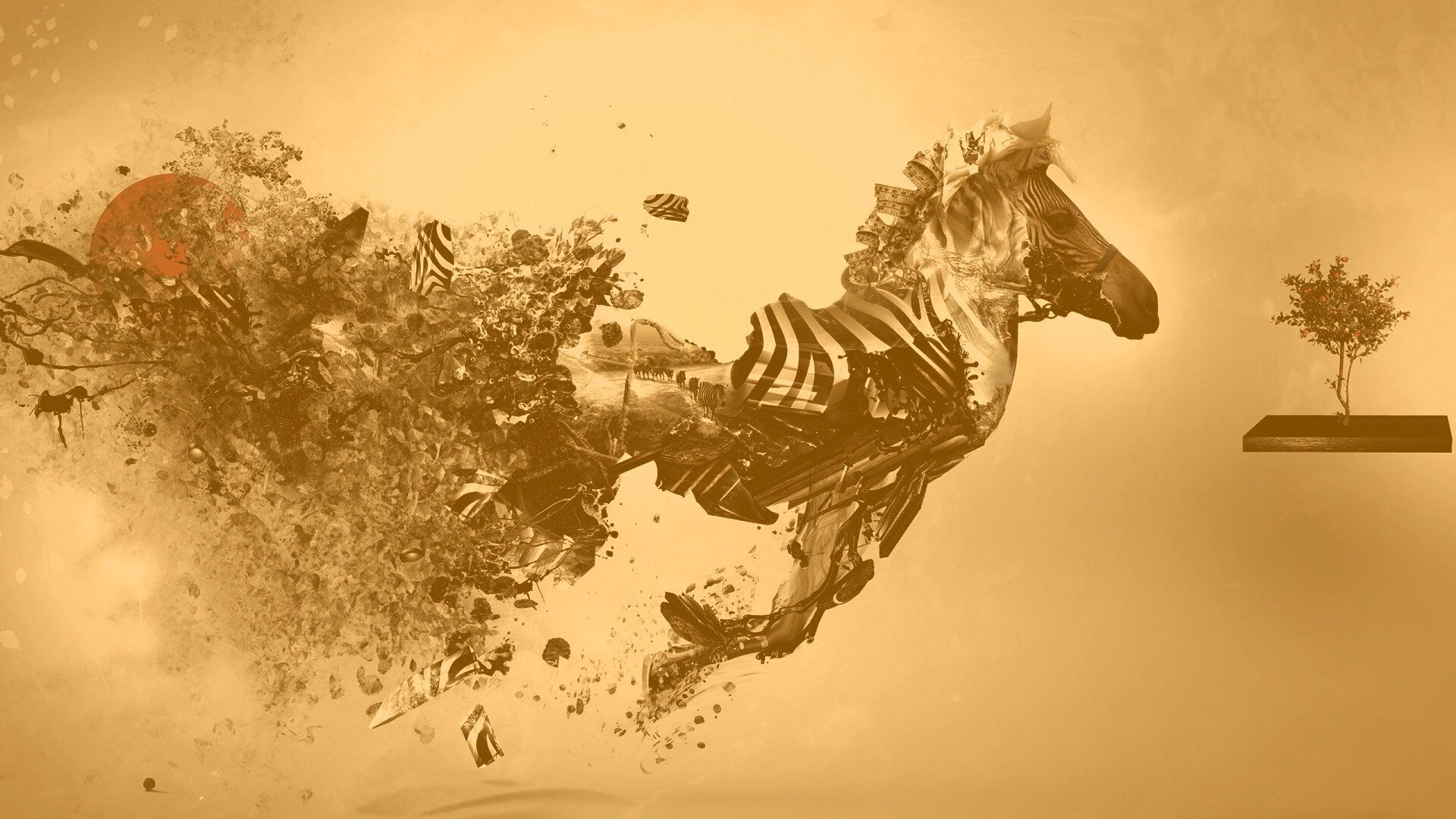 Зебра и бонсай обои