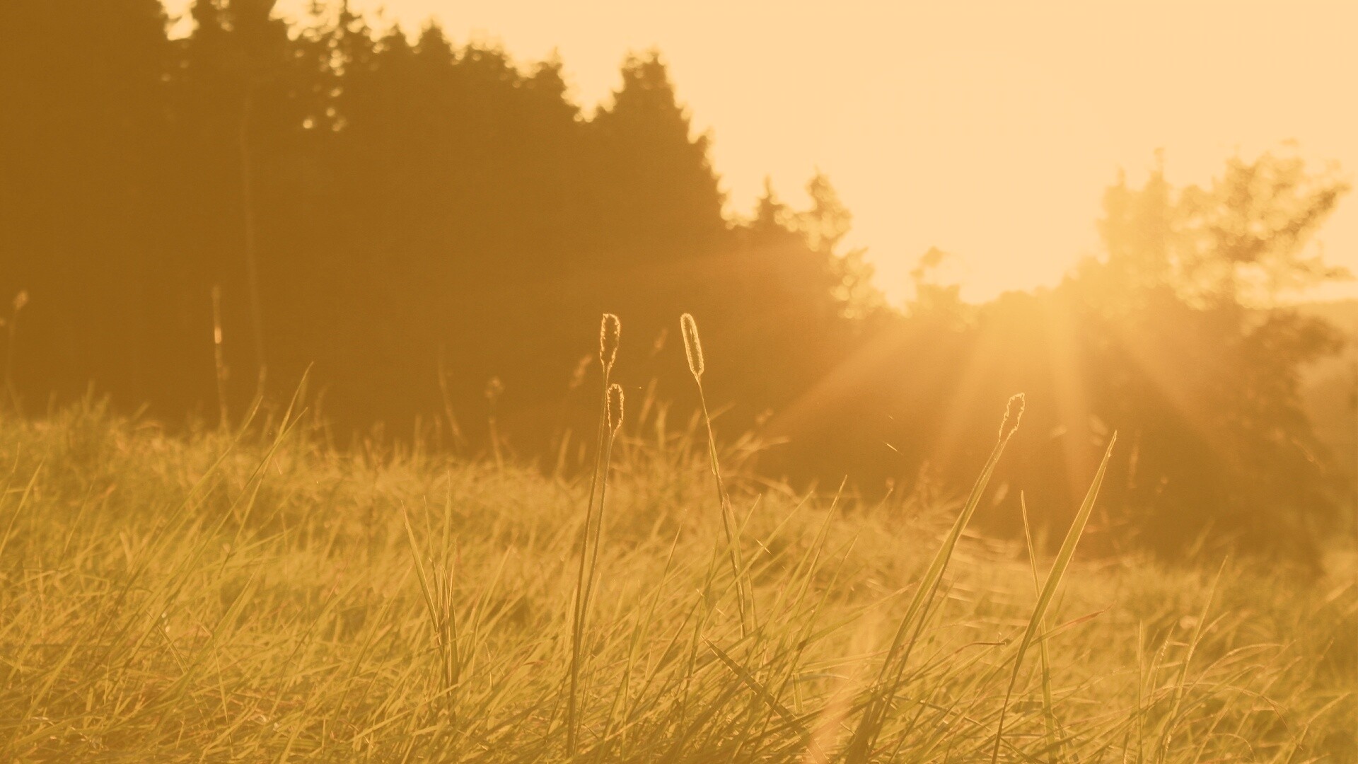 Красота природы обои