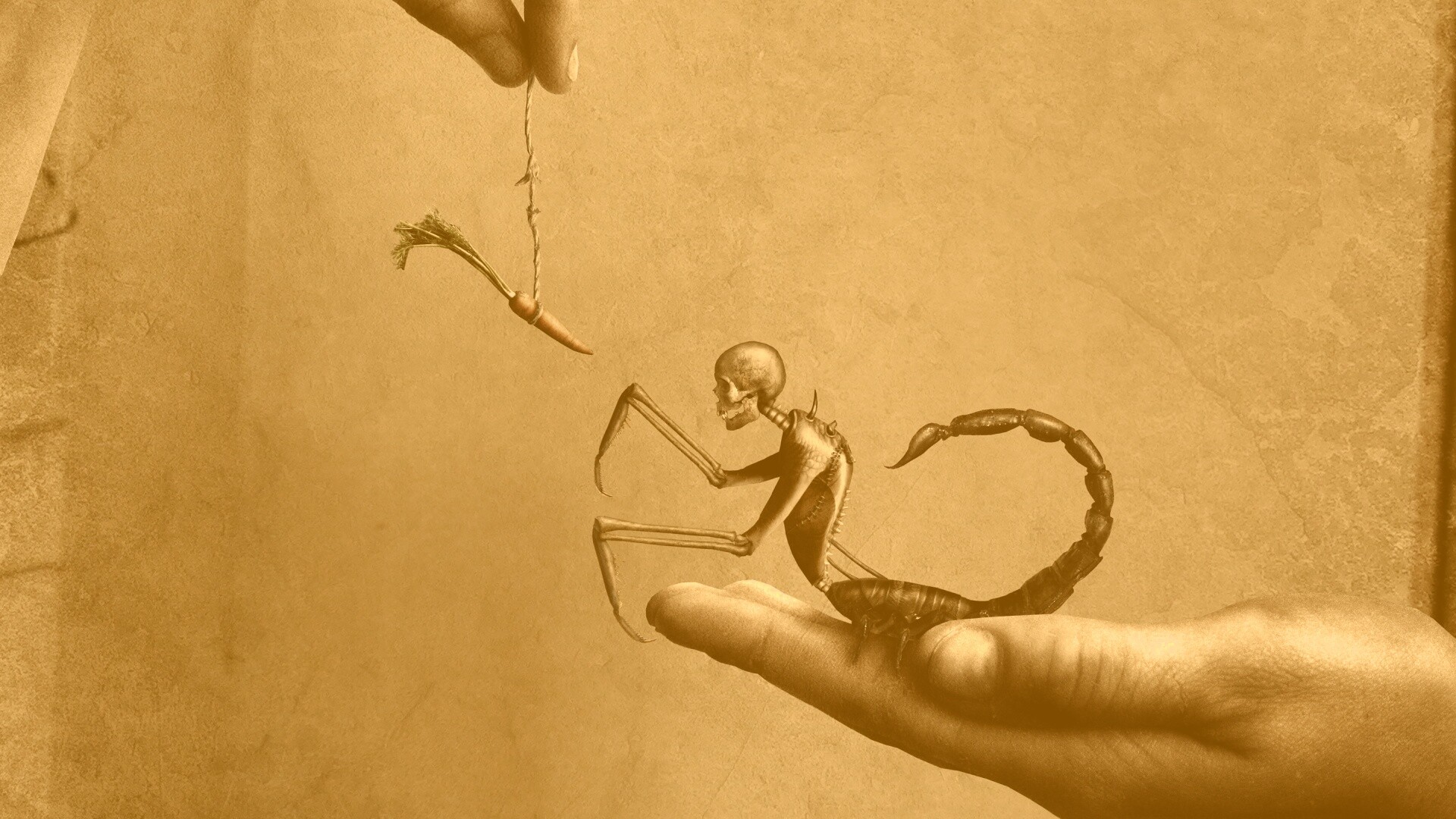 Кормёжка смерти обои