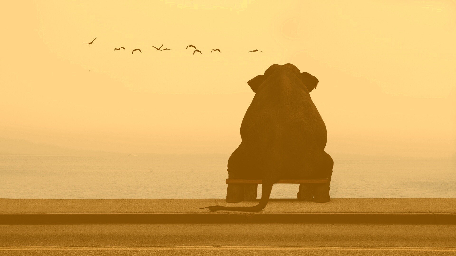 Слон на табуретке обои