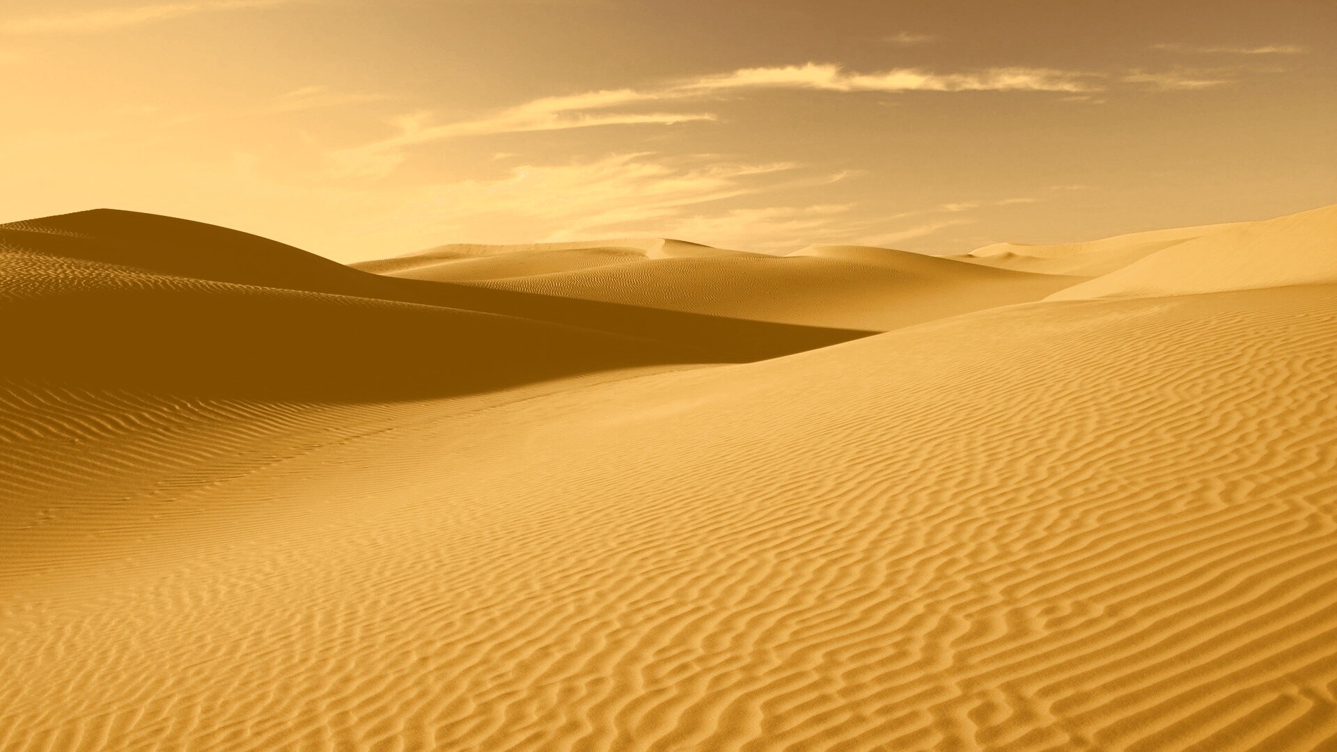 Пустыня Сахара обои