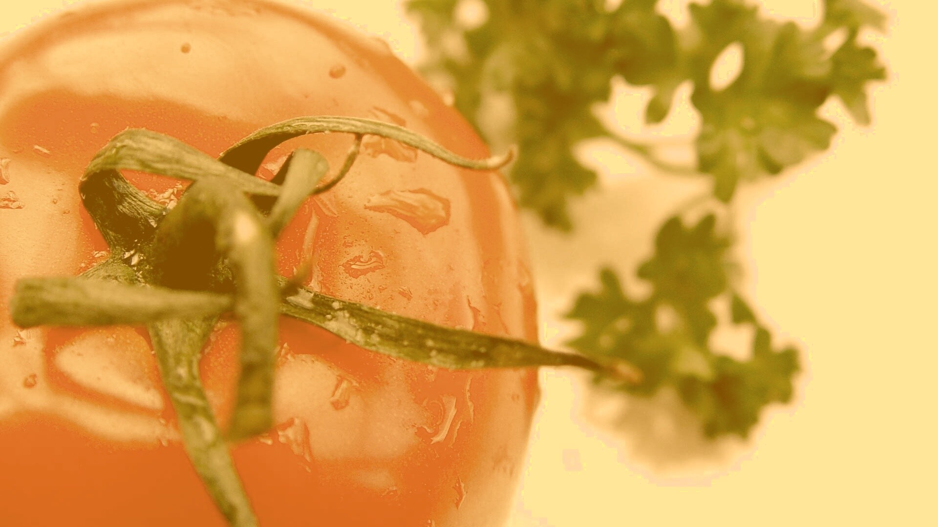 Свежая помидорка обои