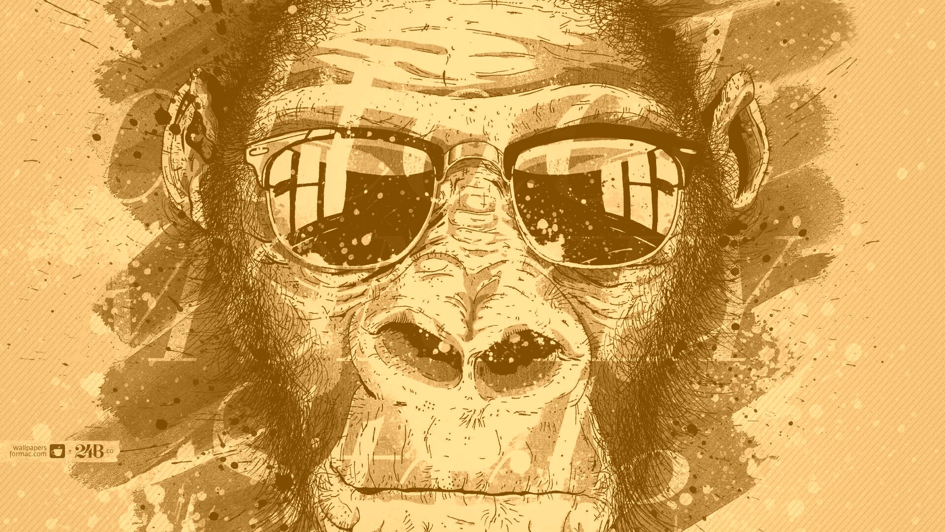 Макака в очках обои