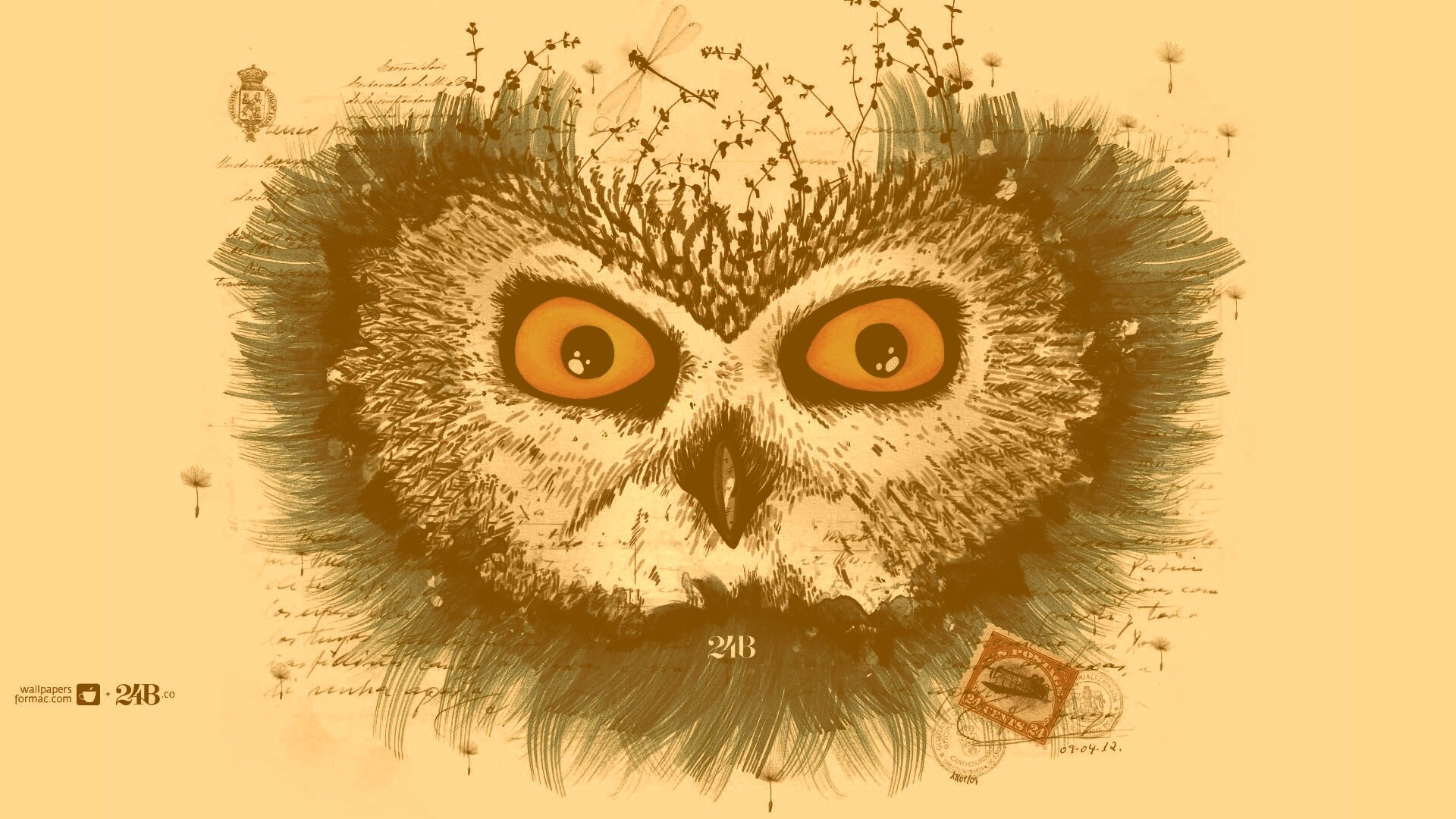 Обои сова для mac book обои