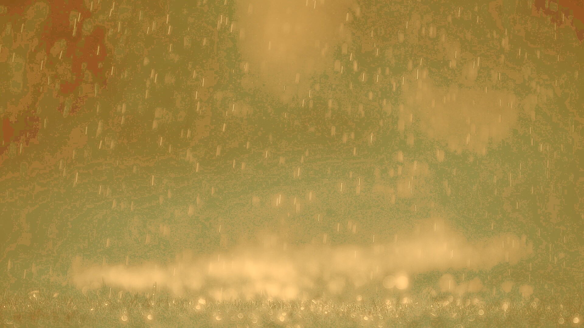 Макро фото дождя обои