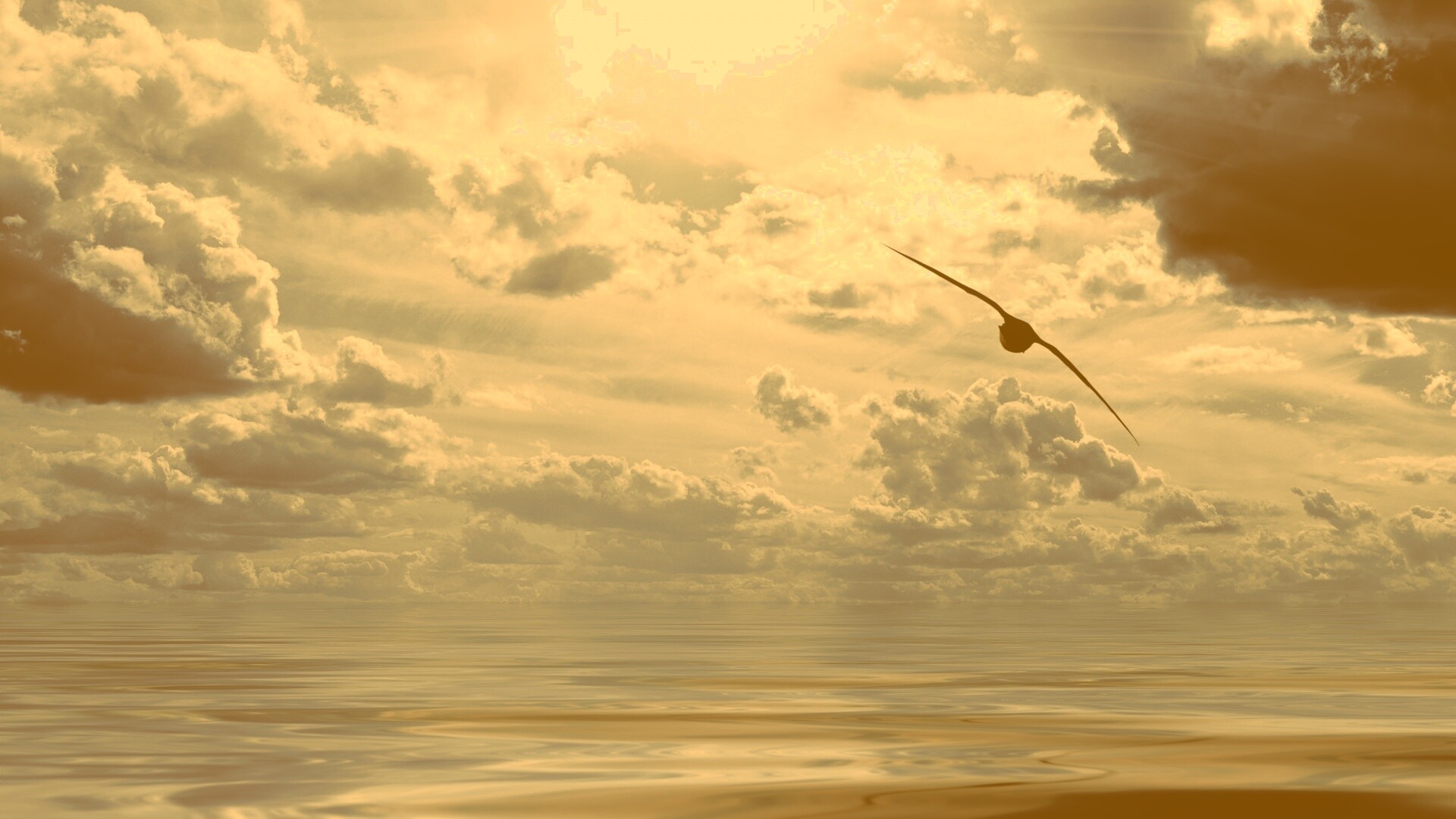 Лети как птица над волнами обои