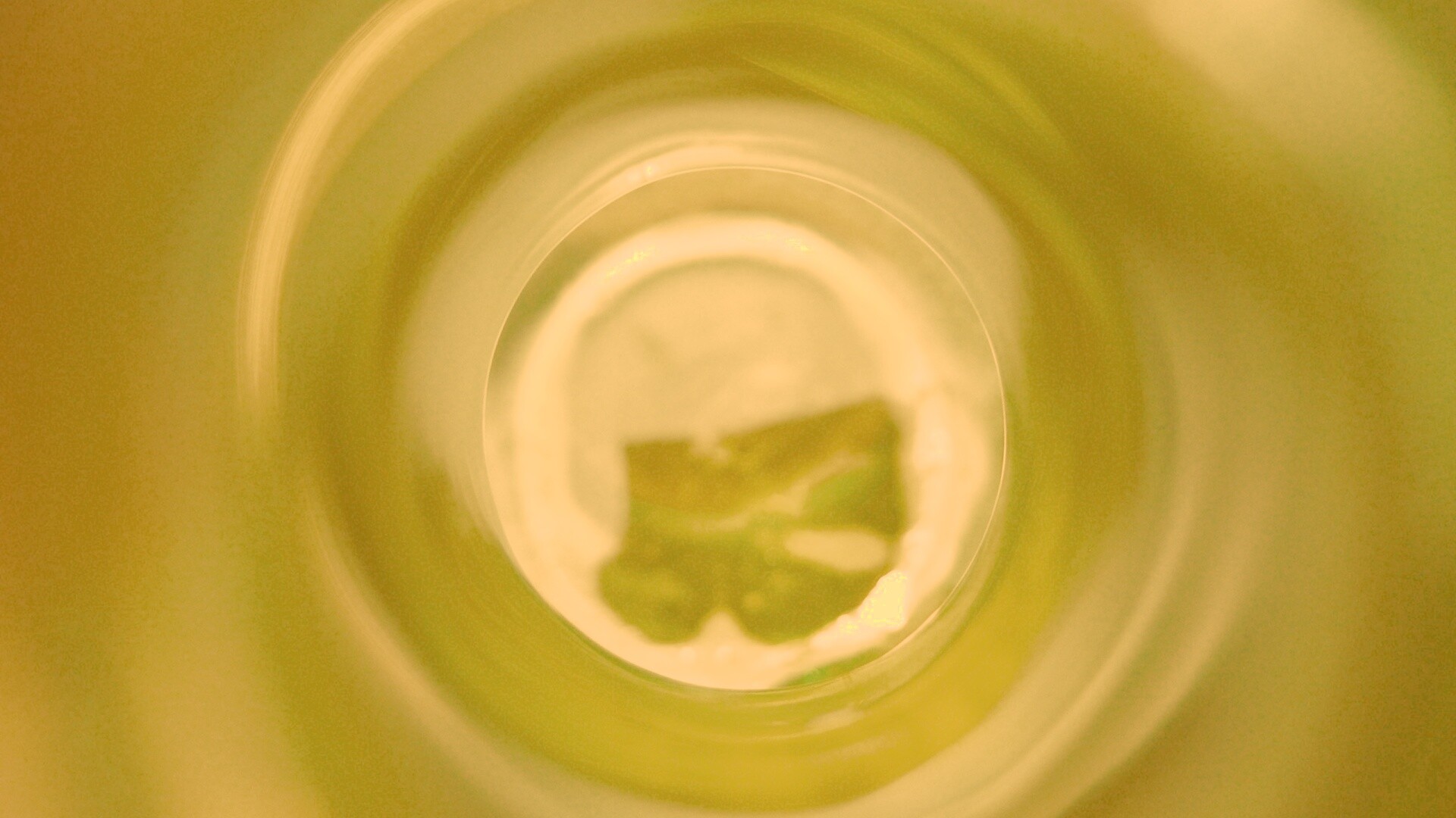 Зеленая бутылка обои