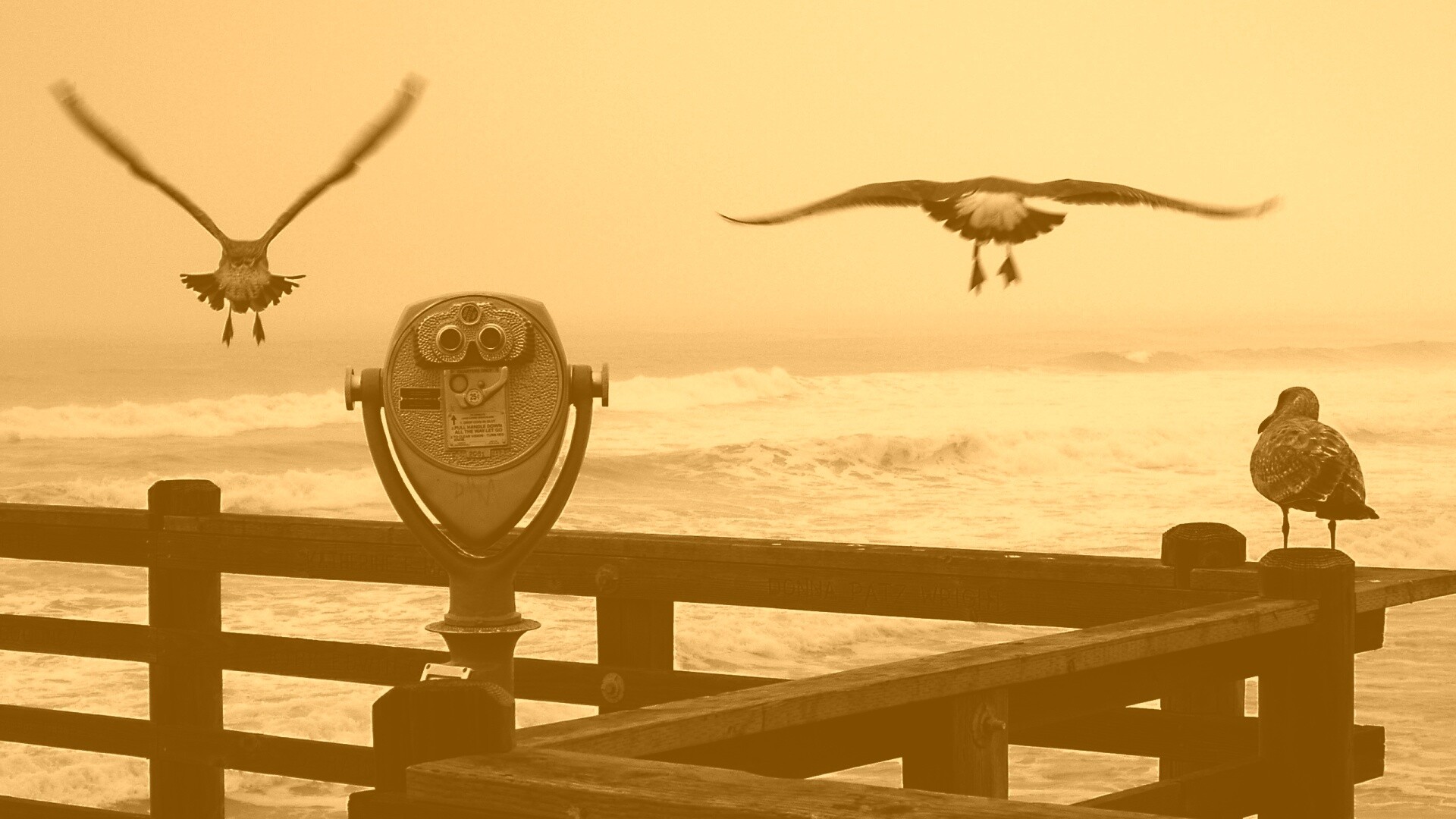 Чайки на перилах пирса обои