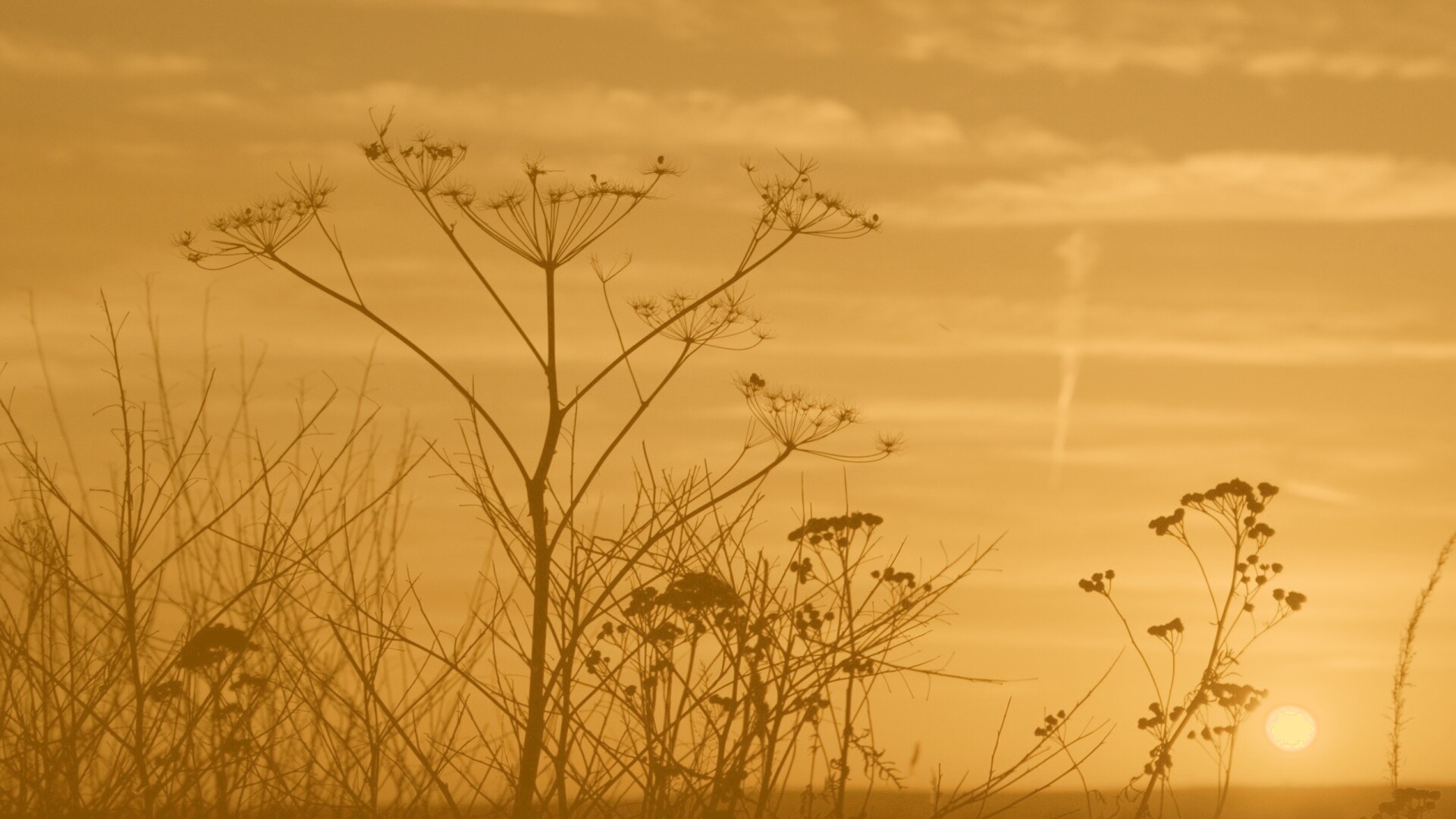 Степной закат обои