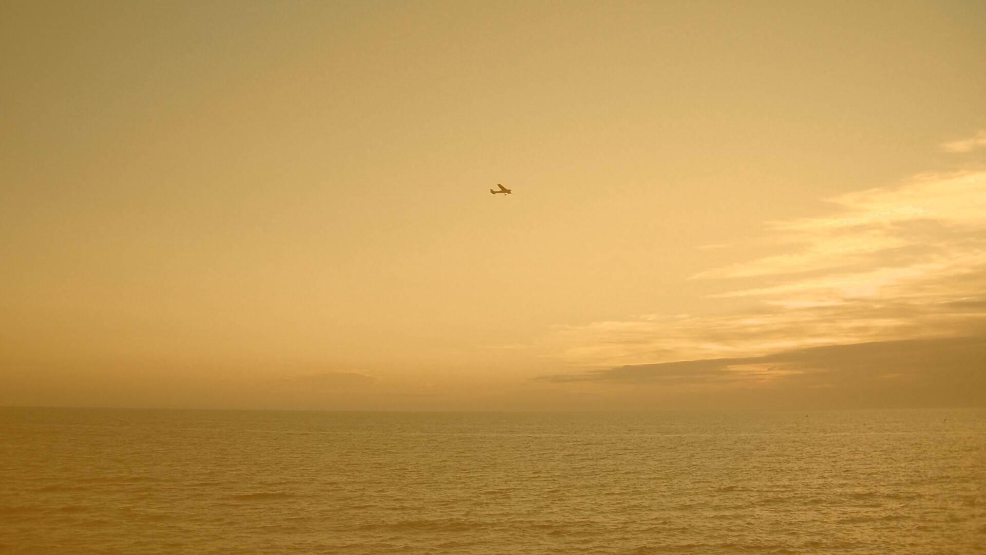 Паращий над морем обои