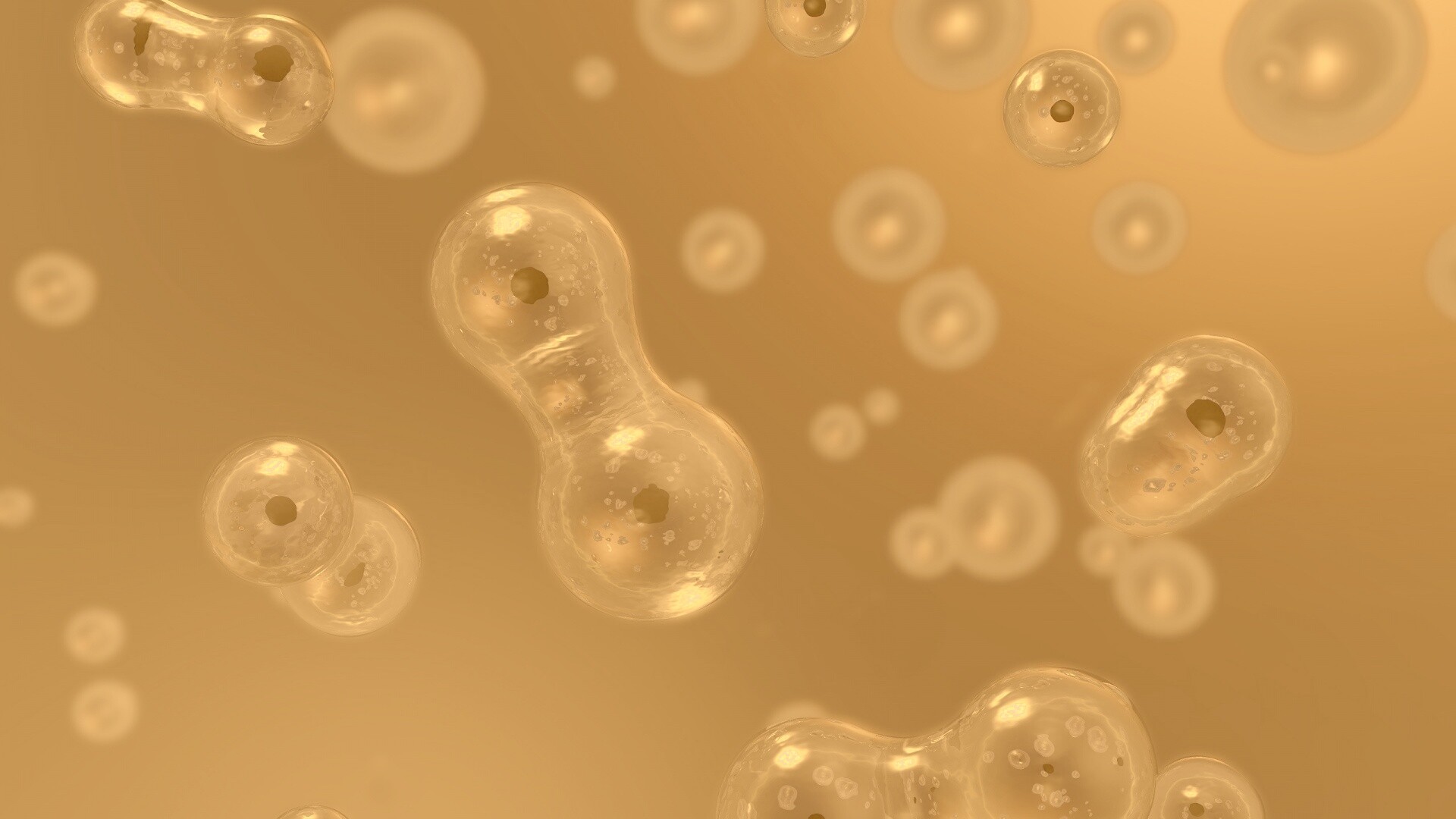 Деление обои