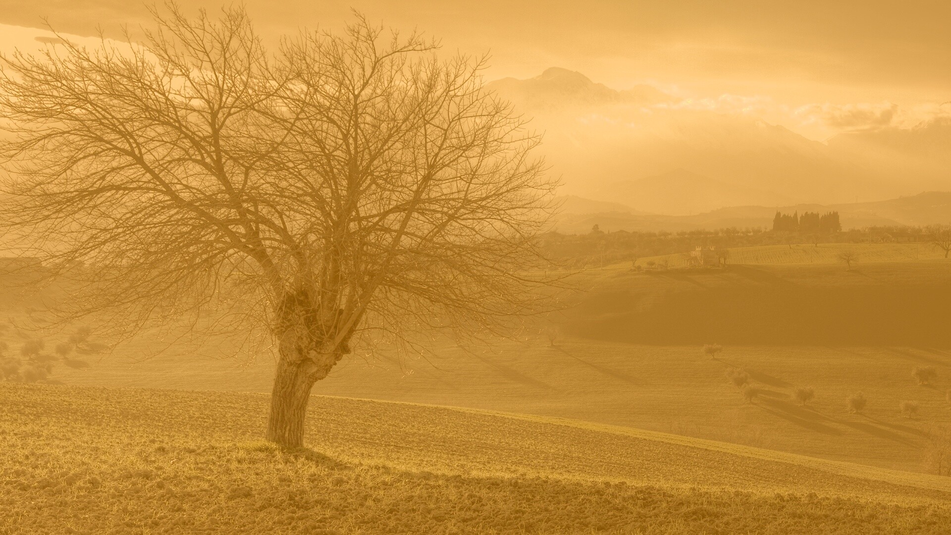 Дерево и горы обои