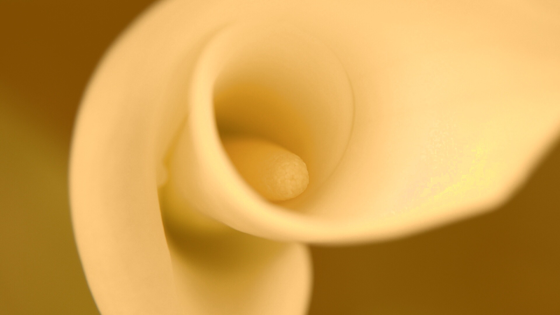 Спираль обои