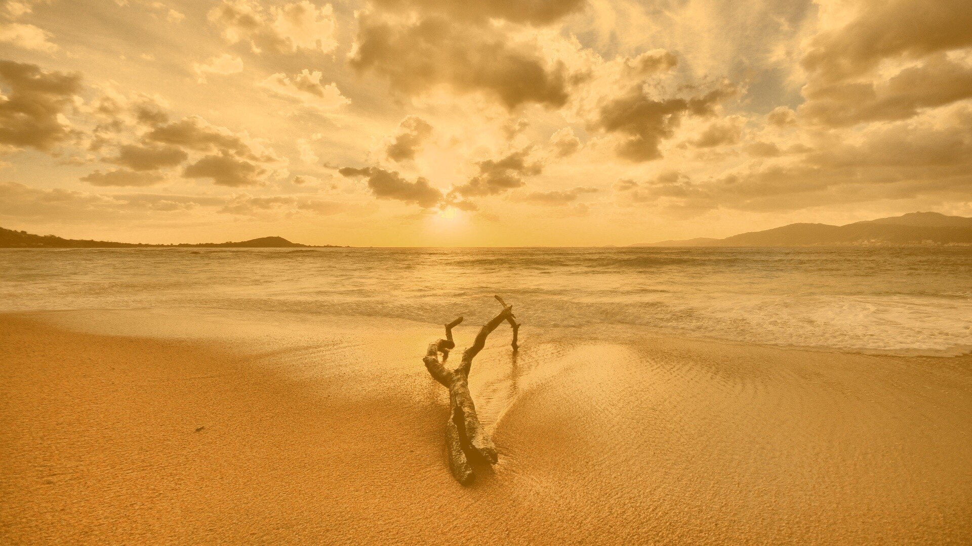 Коряга на пляже обои