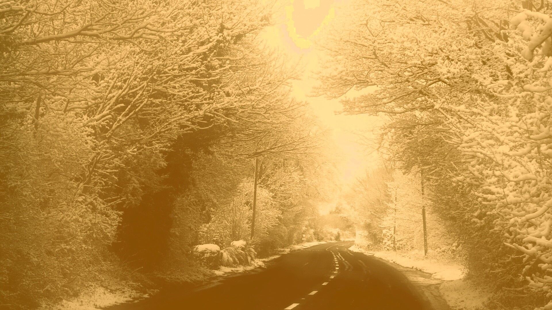 Дорога через зимний лес обои