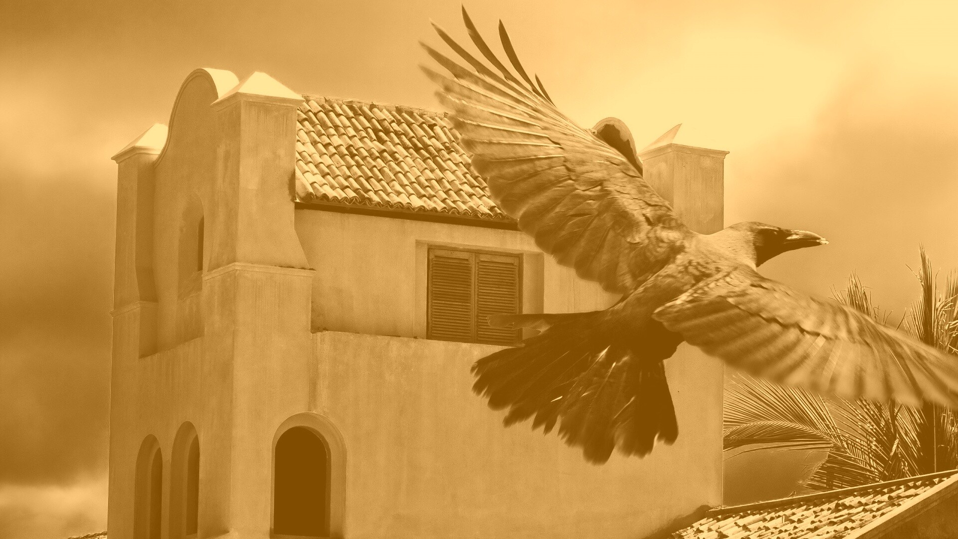 Полёт ворона обои