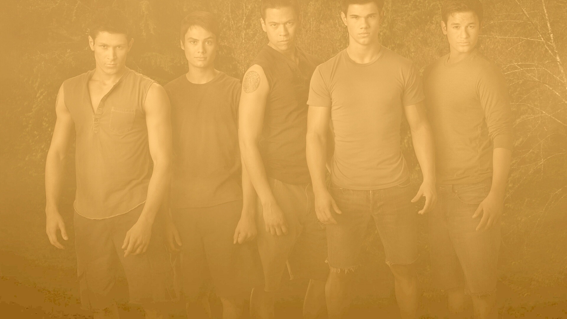 Оборотни из Сумерек обои