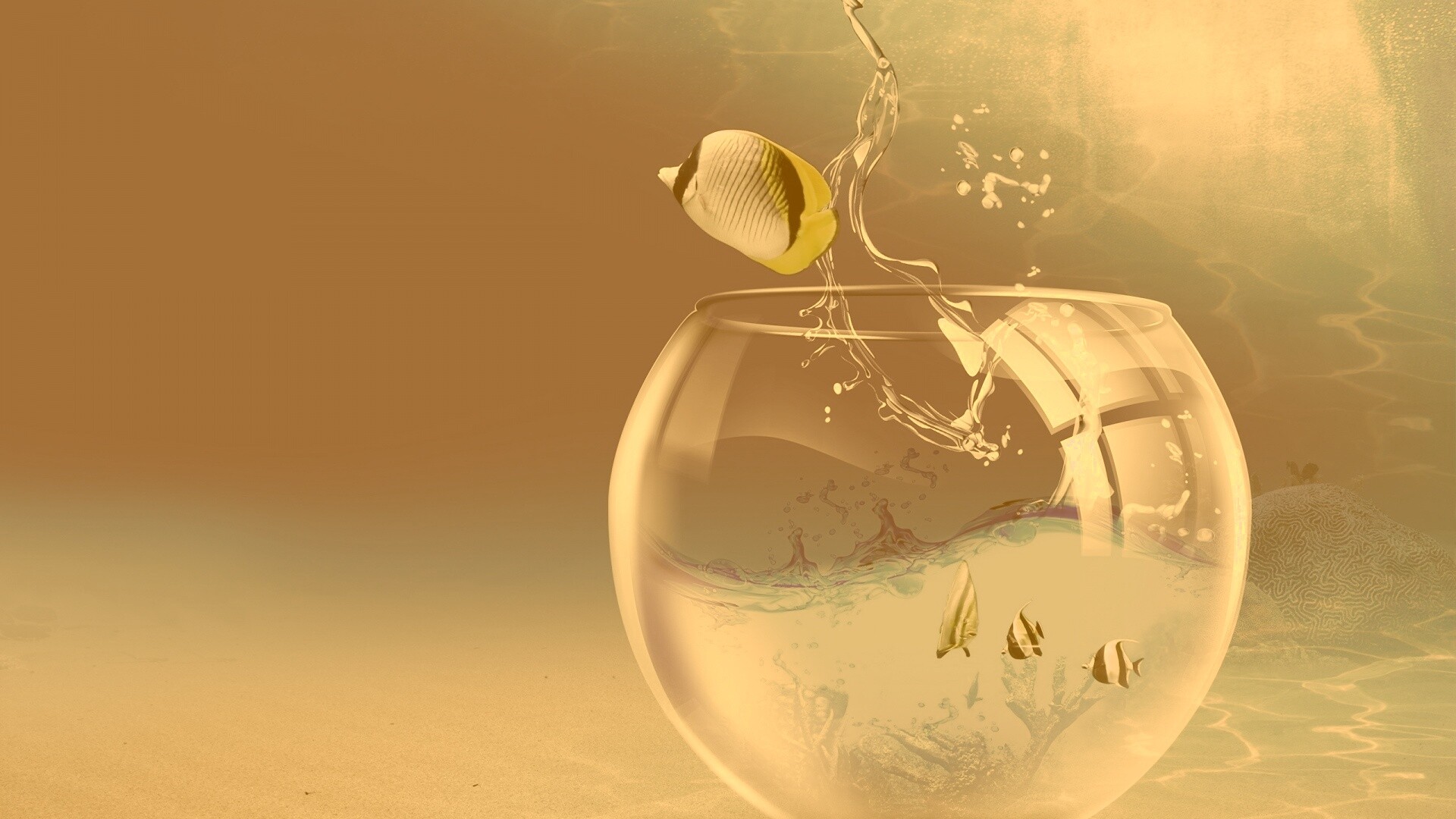 Аквариум с рыбками обои