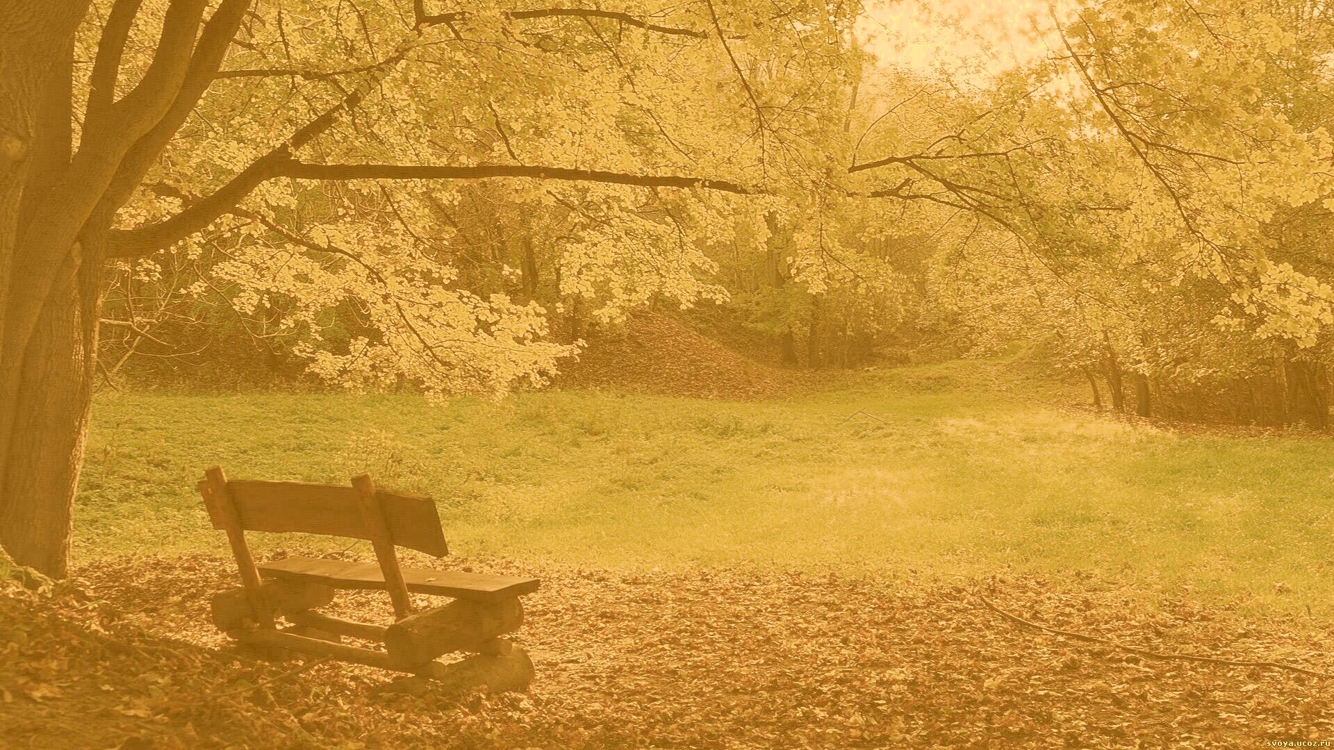 Скамейка под деревом обои