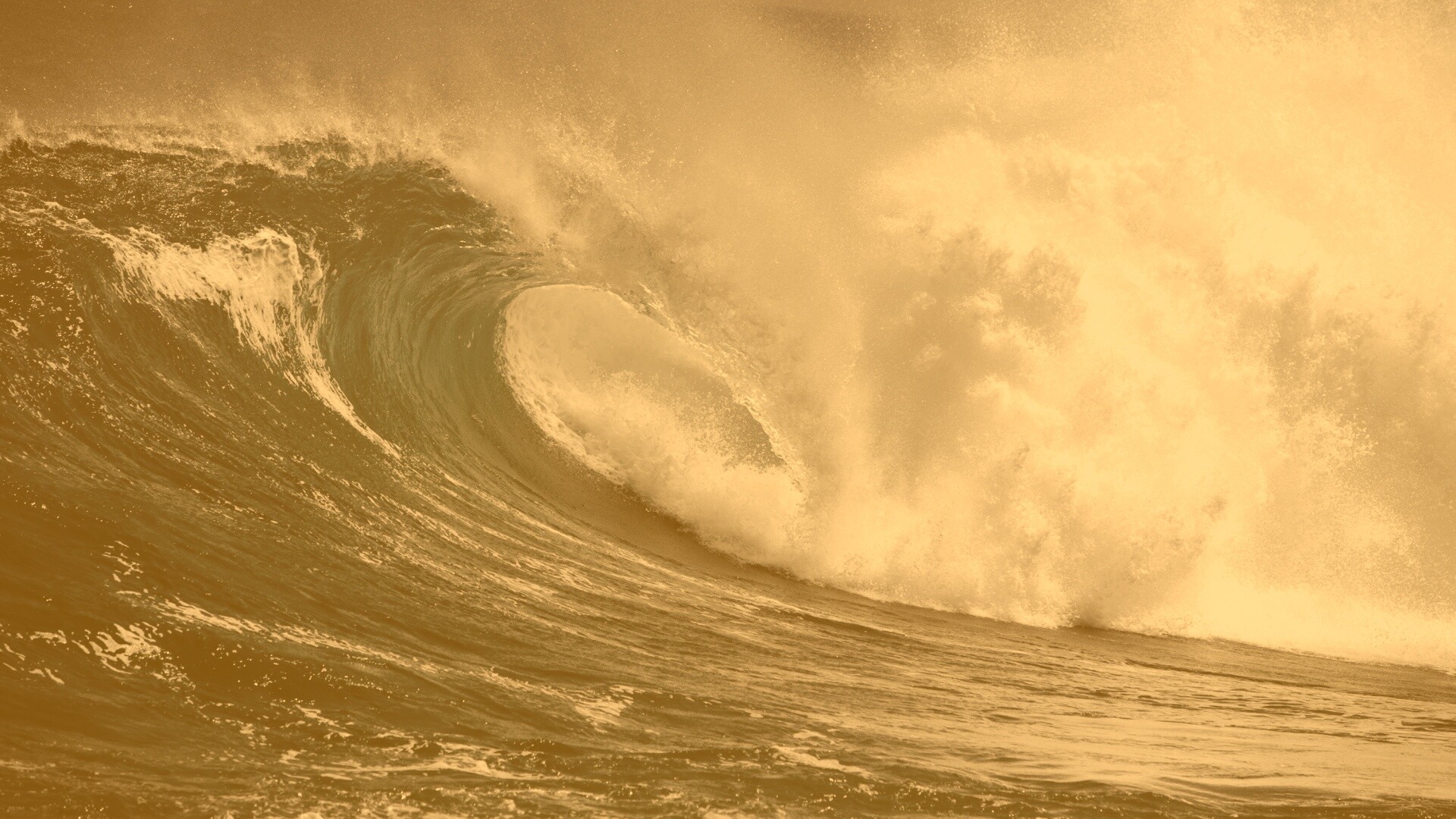 Лови волну обои