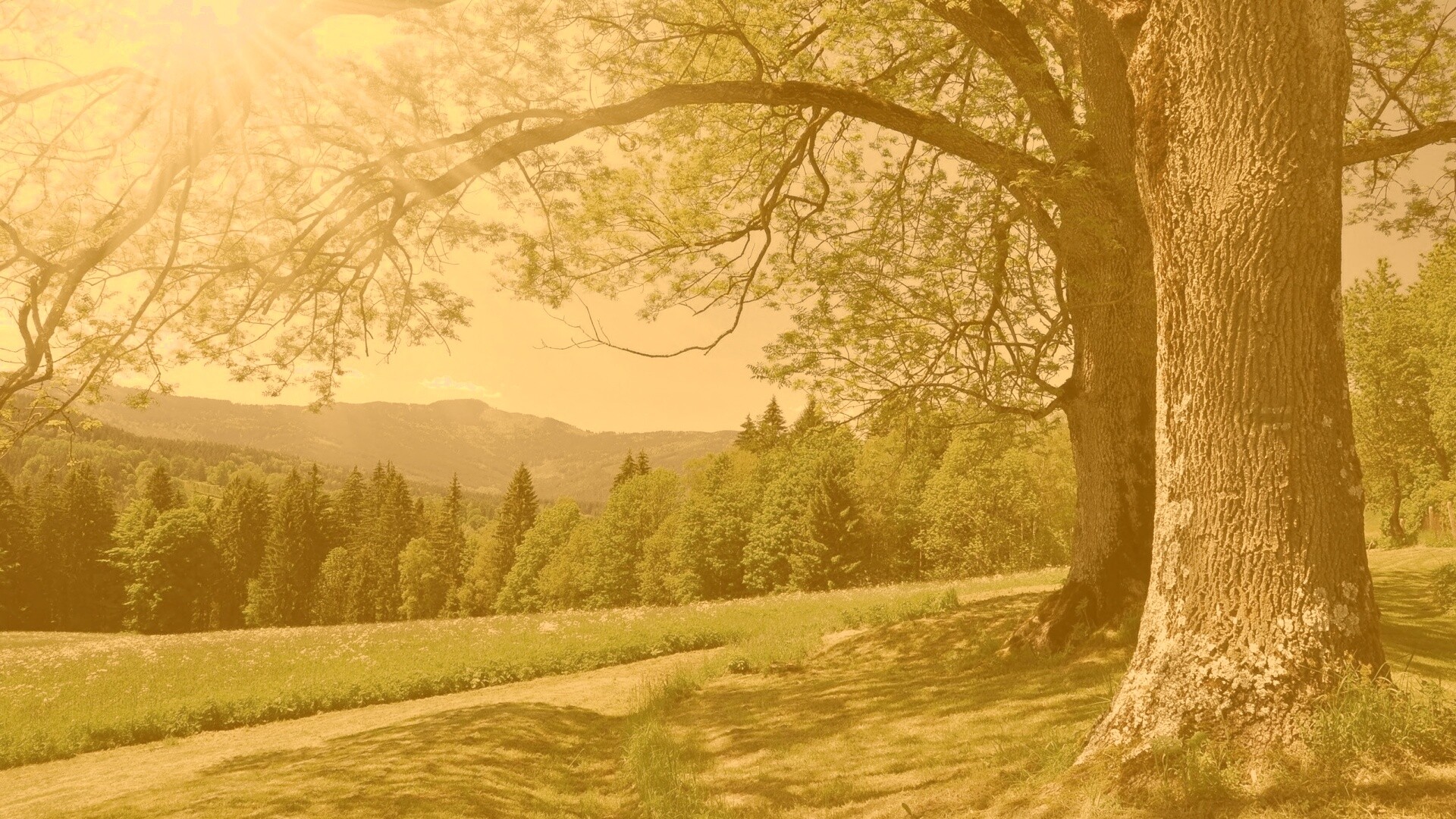 Лето в деревне обои