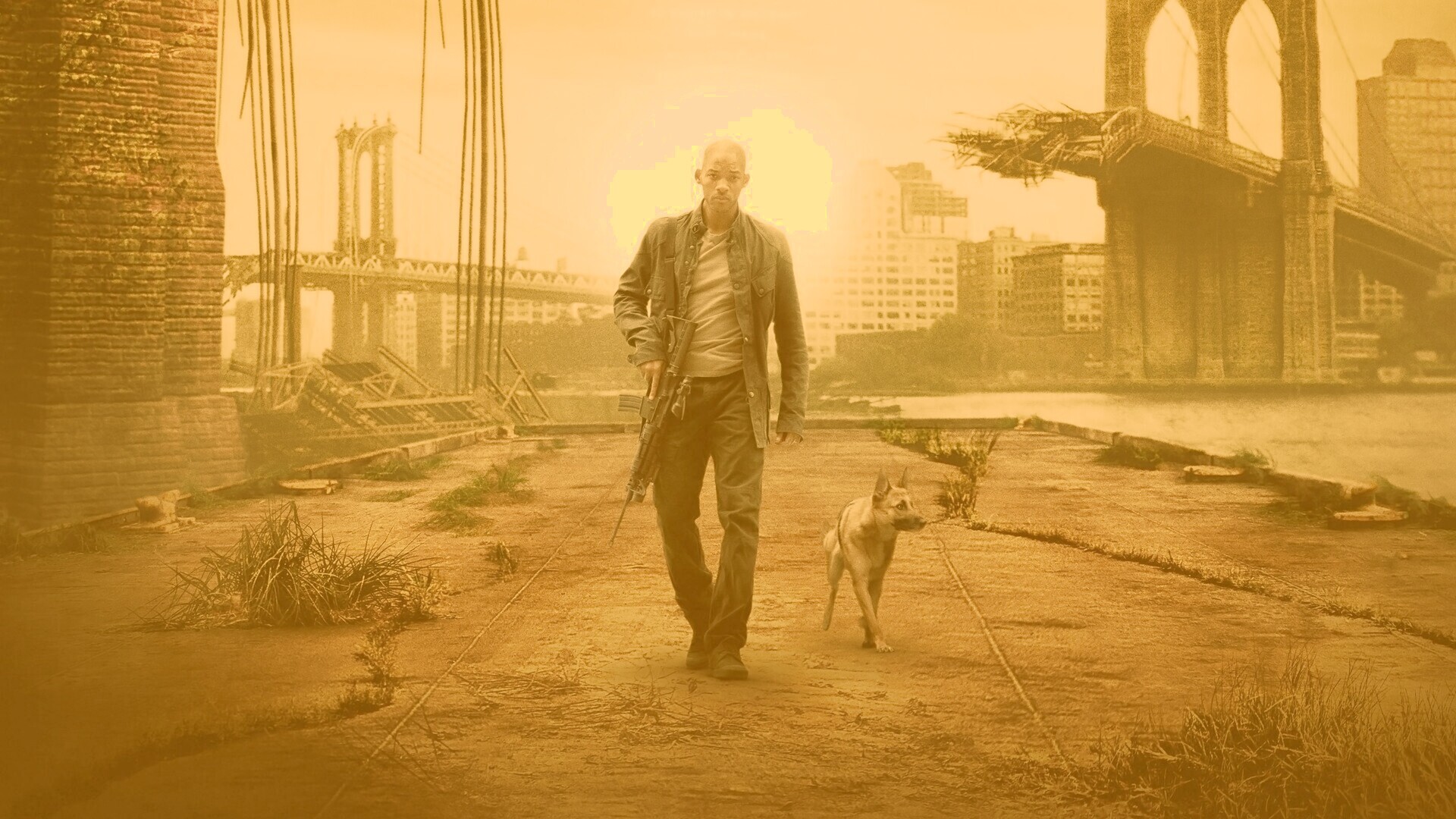 Я - легенда обои