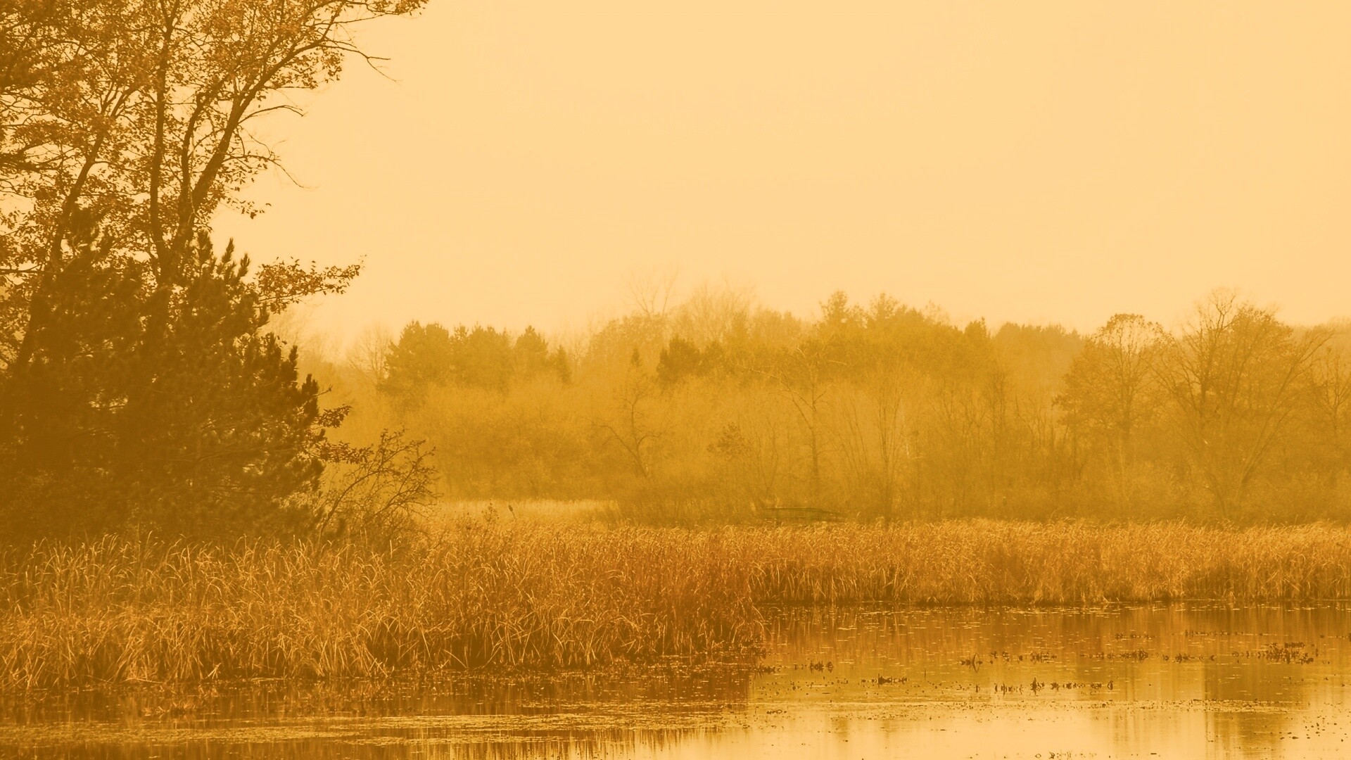 Живописные болота обои