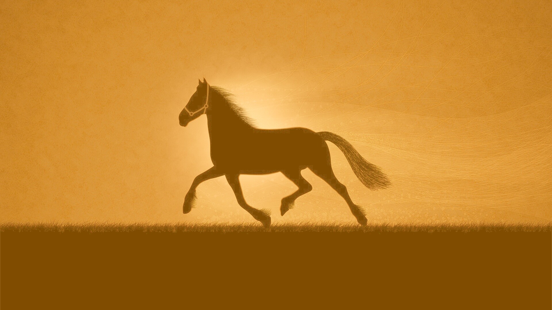 Силует коня на закате обои