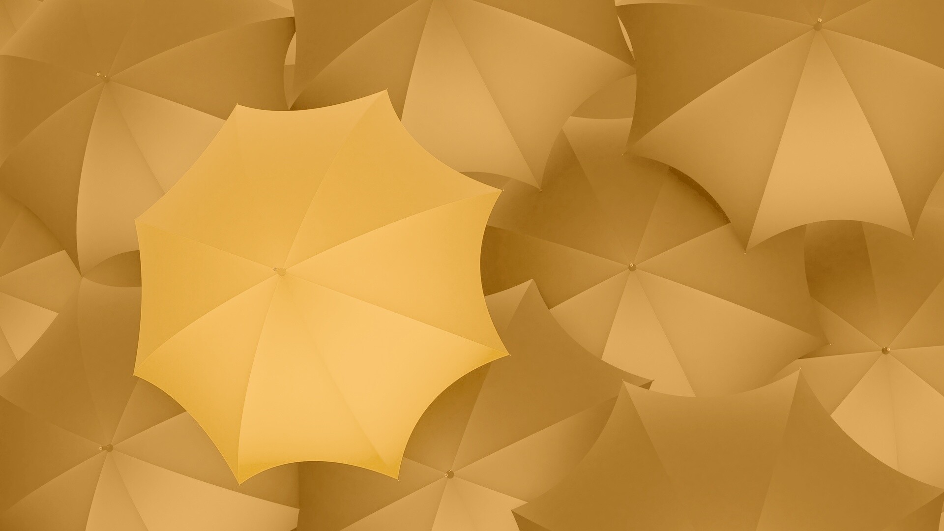 Жёлтый среди чёрных обои