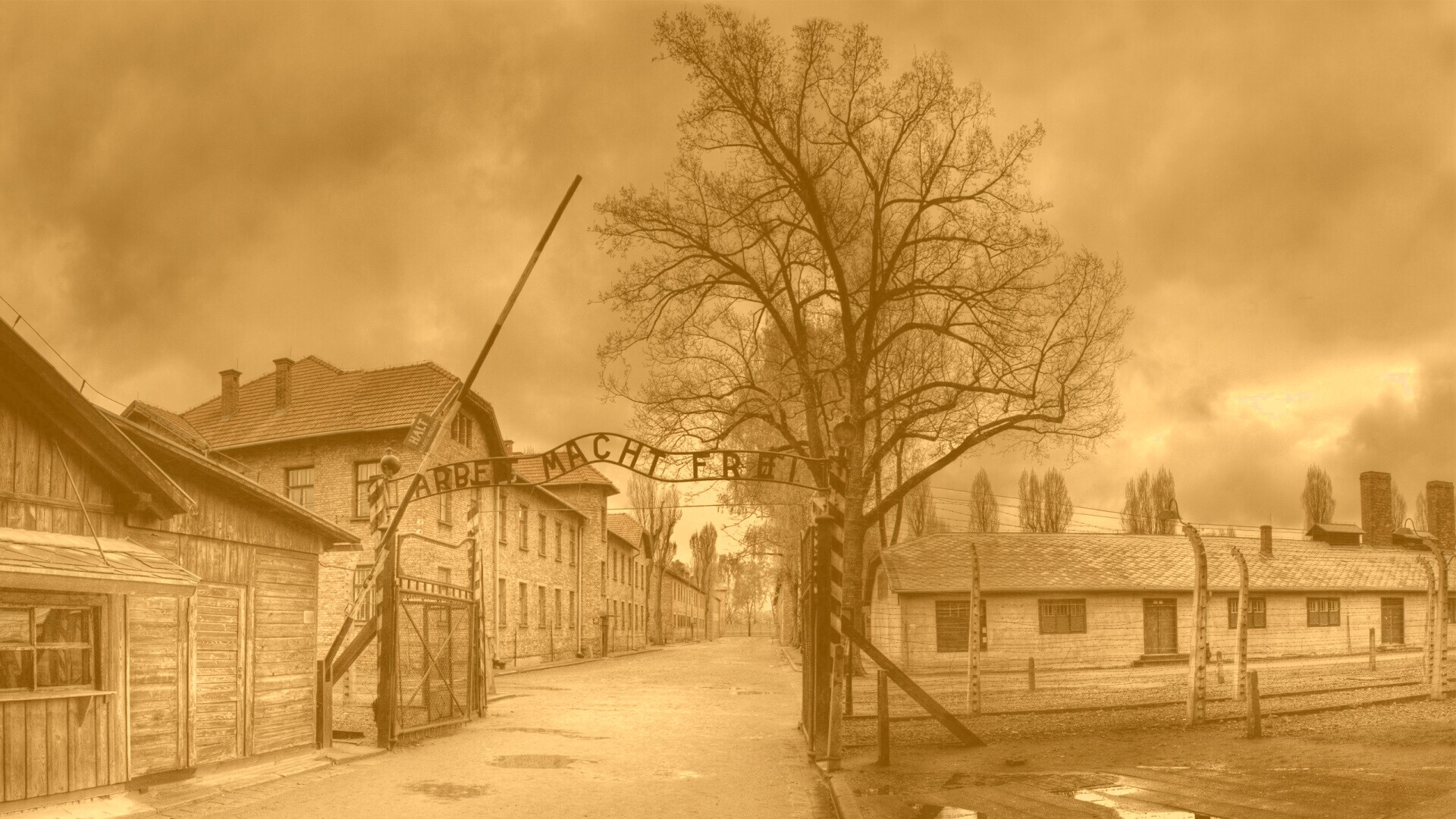 Arbeit macht frei обои