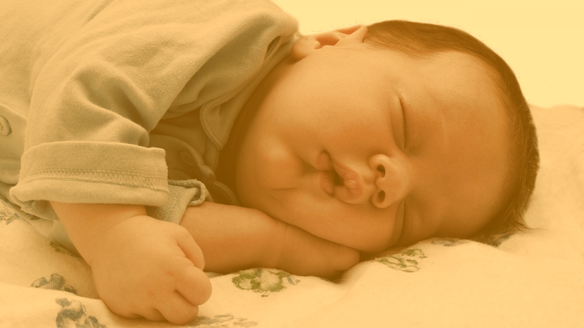 Спящая прелесть обои