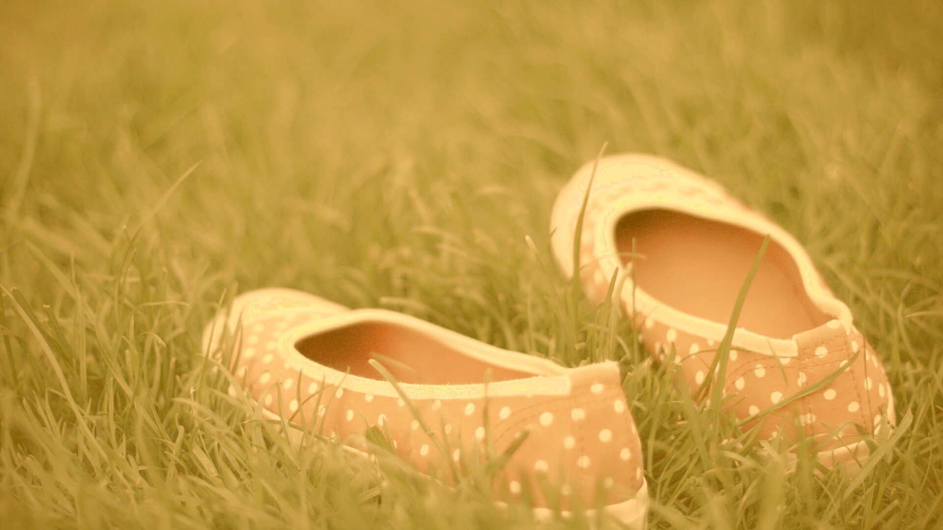 Красные тапки в горошек обои