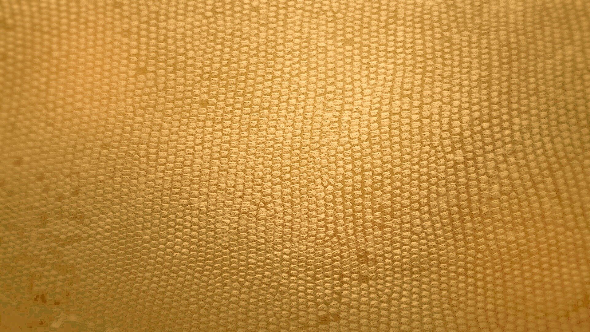 Чешуйчатые обои обои