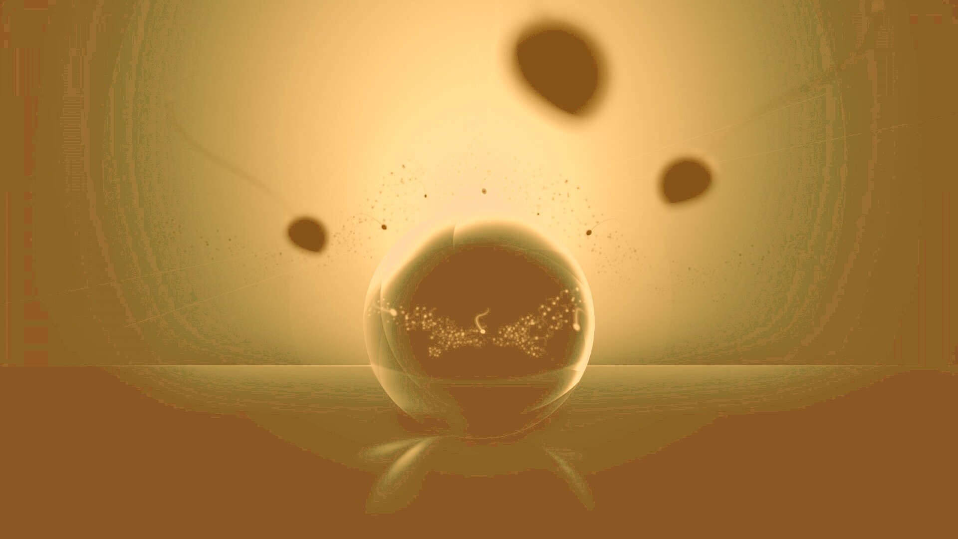 Оплодотворение обои