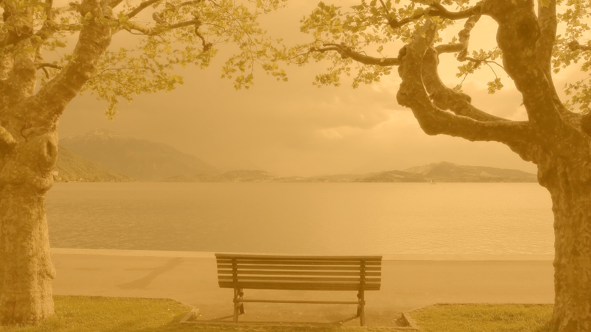 Скамейка на берегу обои
