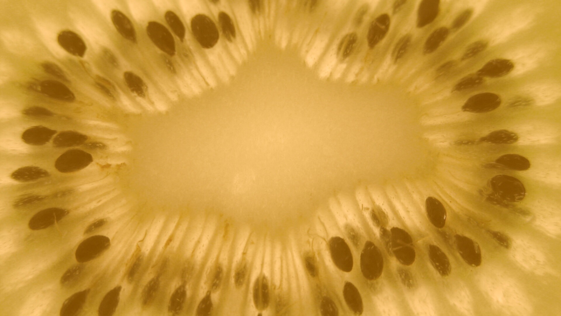 Макро фото киви в разрезе обои