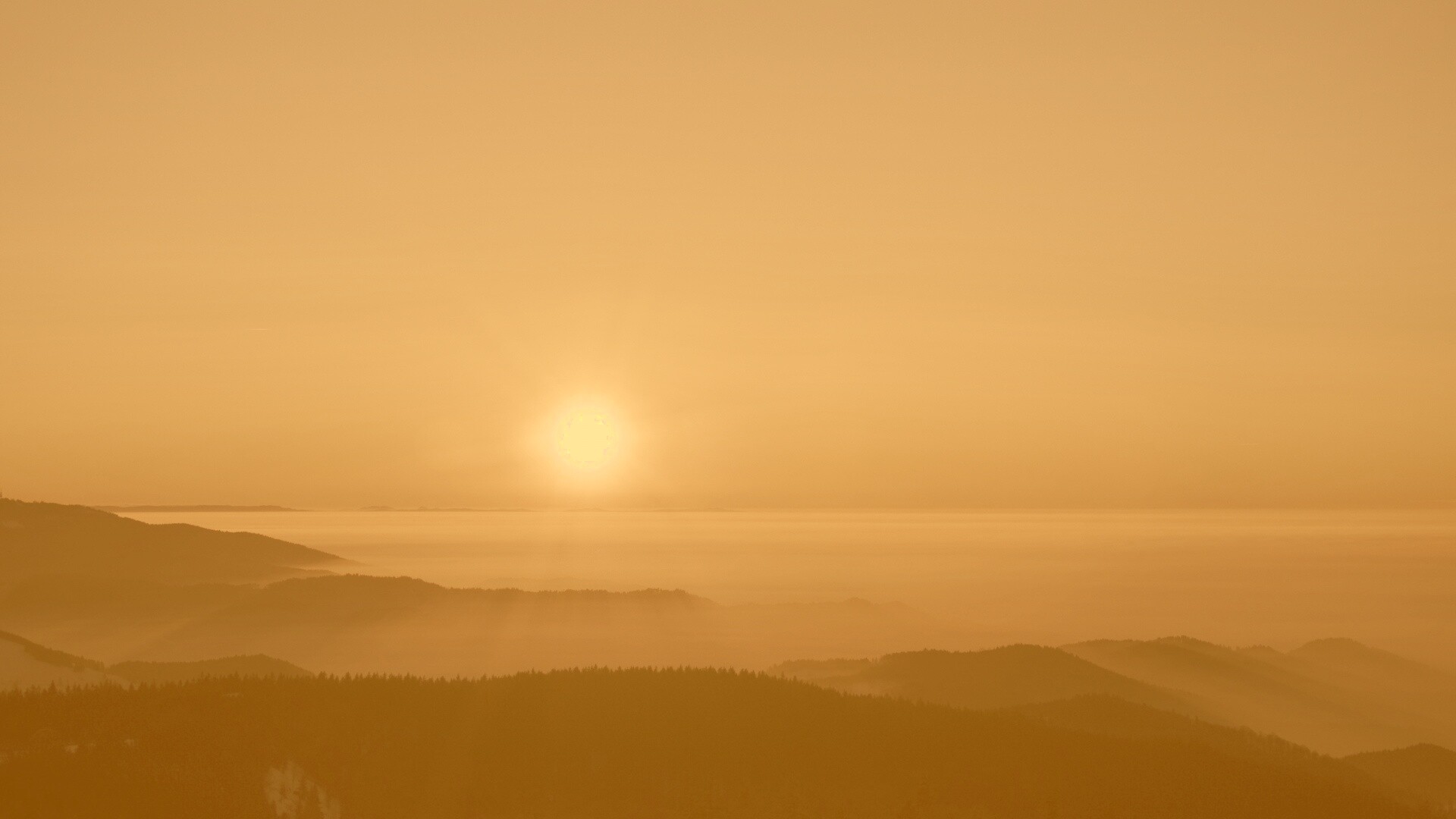 Восход солнца над лесом обои