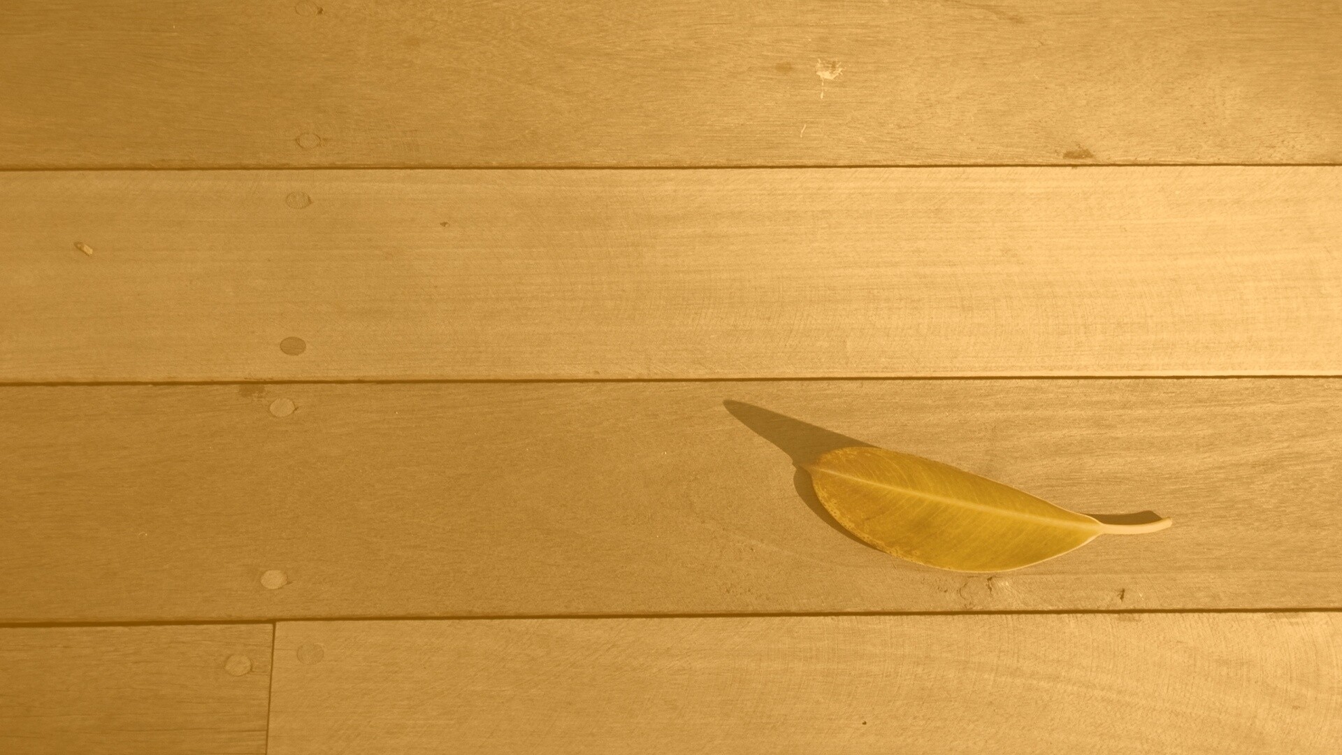 Лист на деревянном полу обои