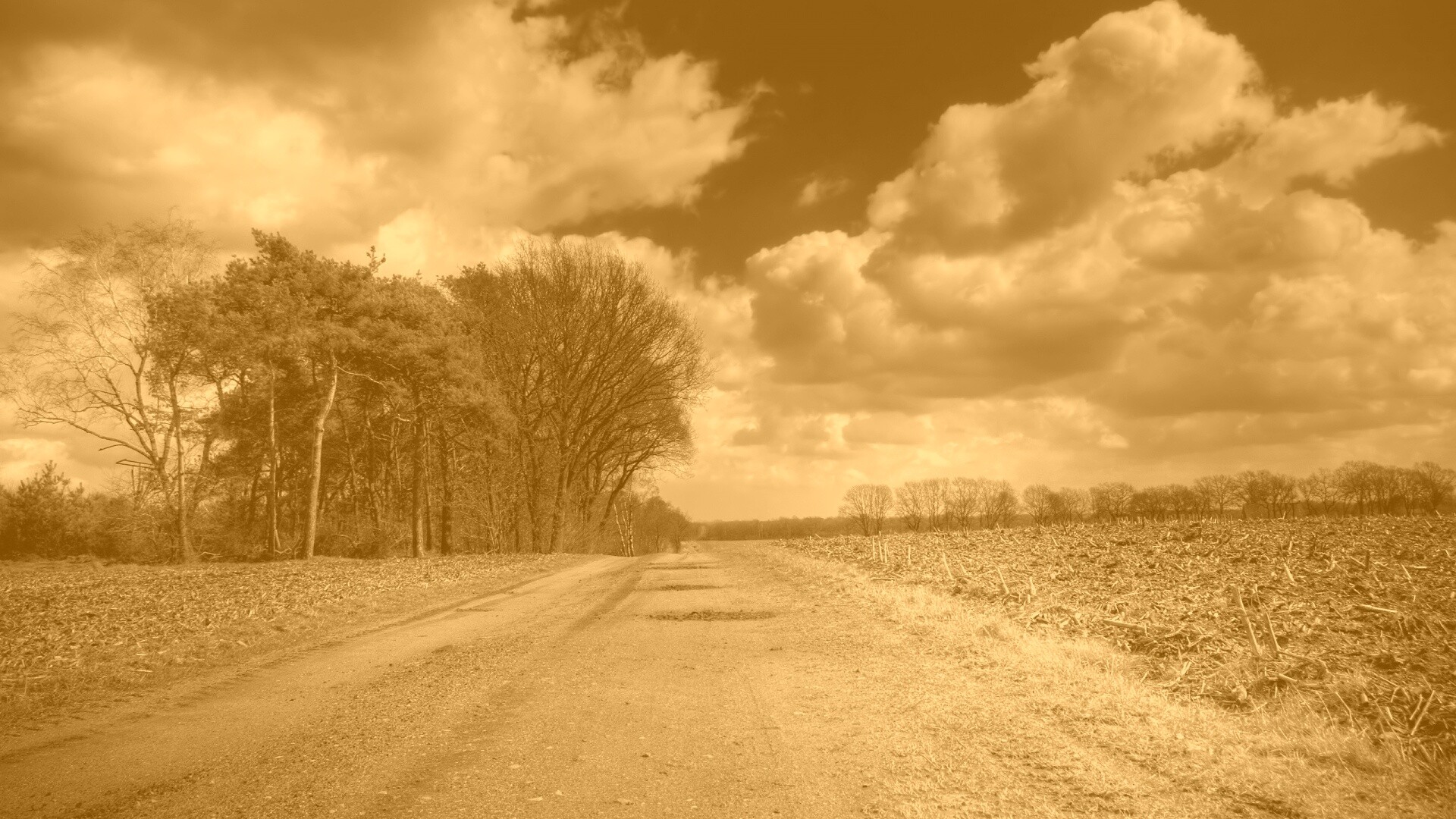 Дорога через поле обои