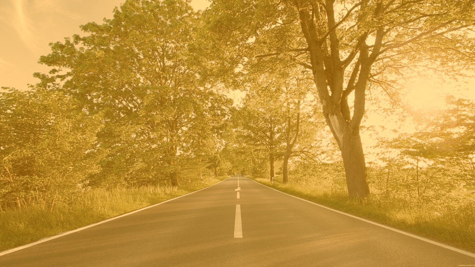 Прямая дорога обои