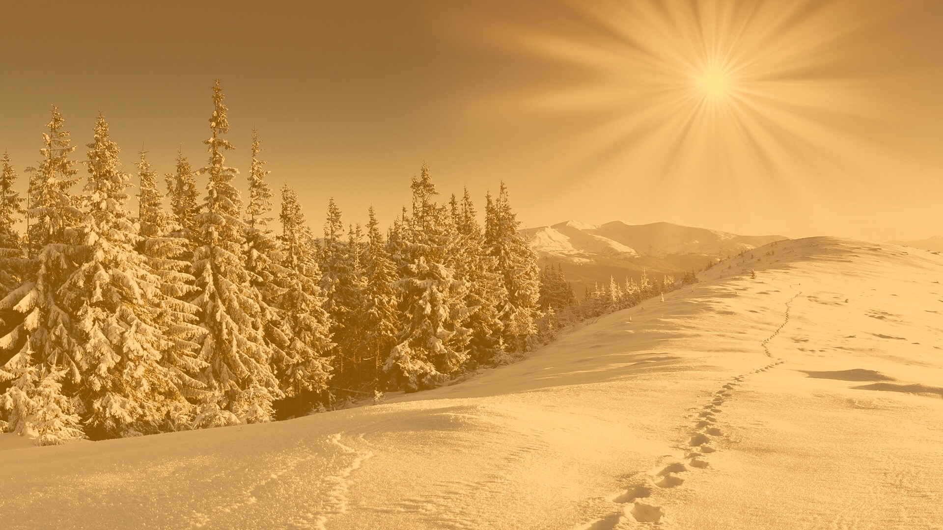 Холодные лучи зимнего солнца обои