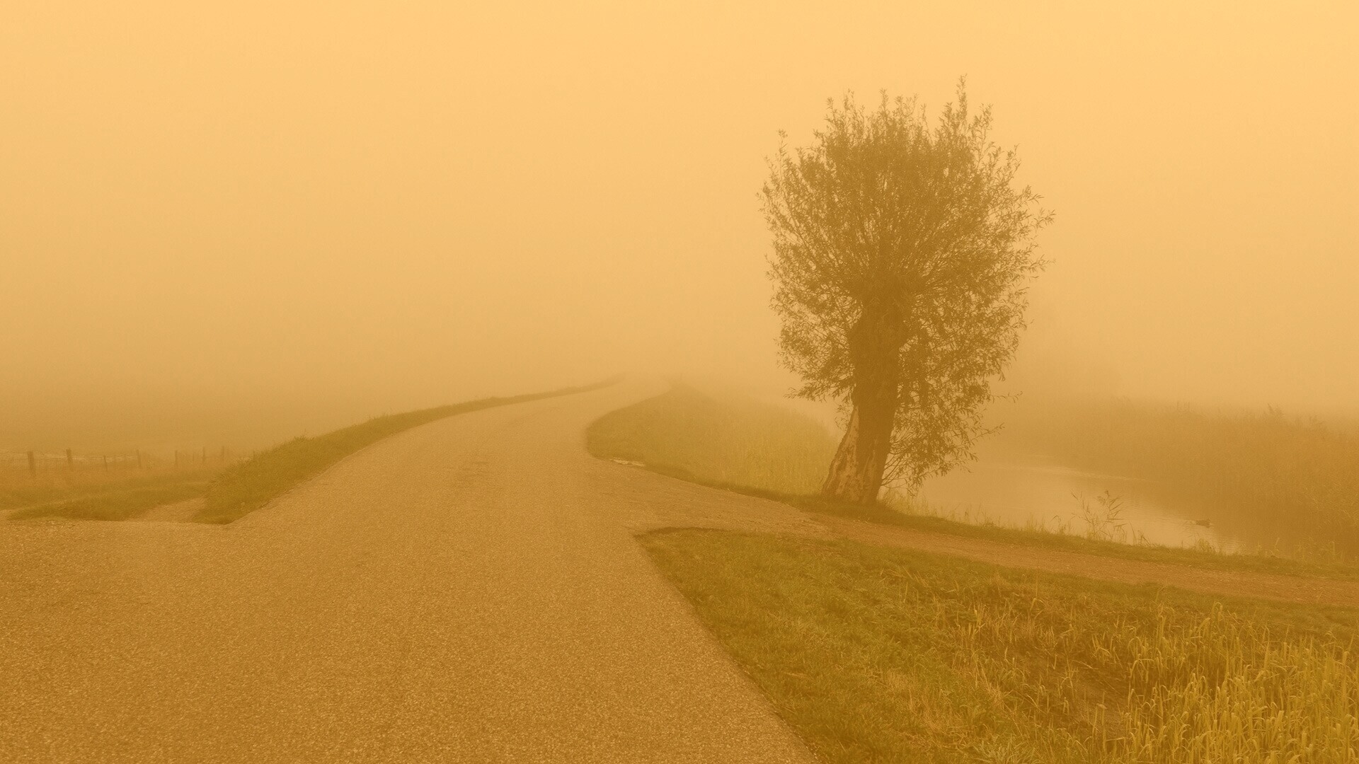 Дорога растворяется в тумане обои