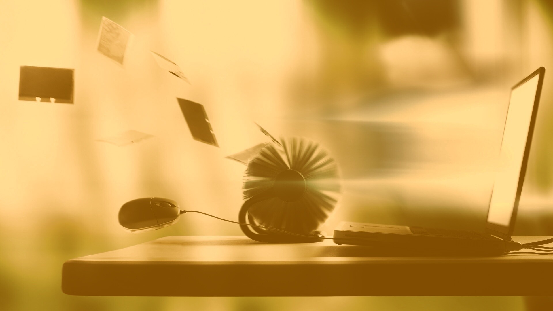 Дуновение цифрового ветра обои