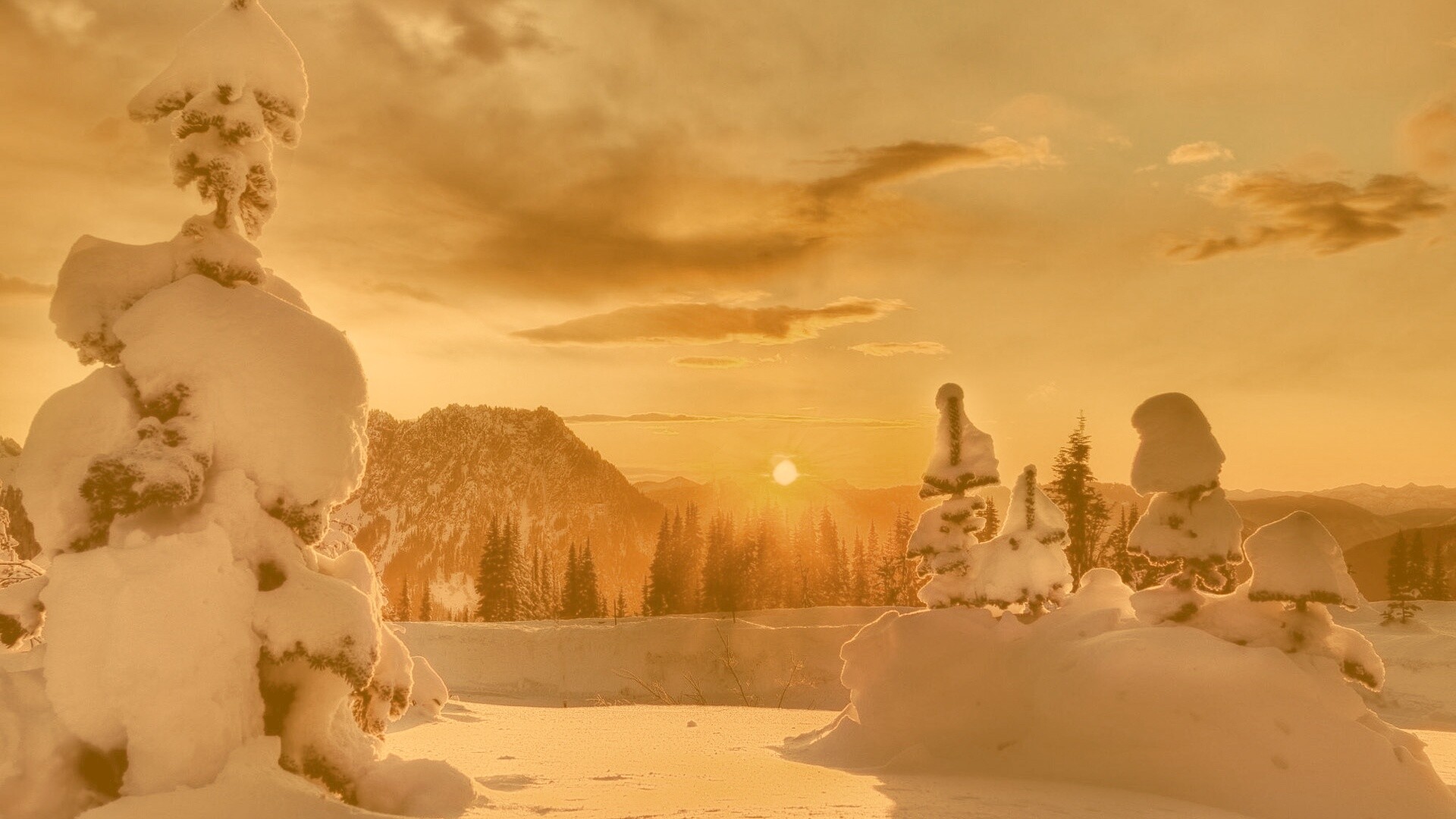 Зимнее солнце обои