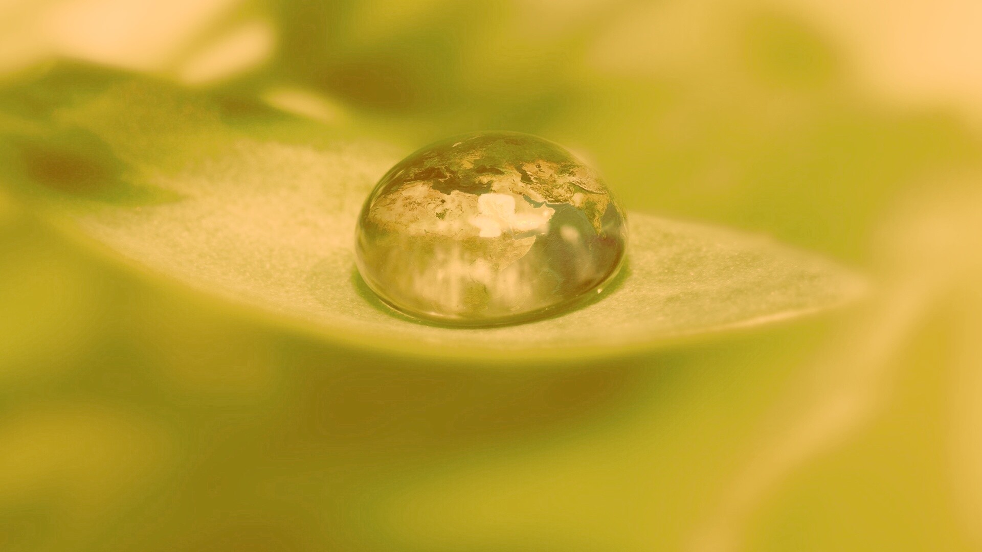 Целый мир в капле воды обои