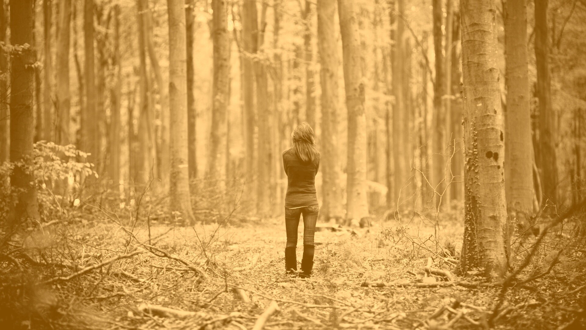 Одна в лесу обои
