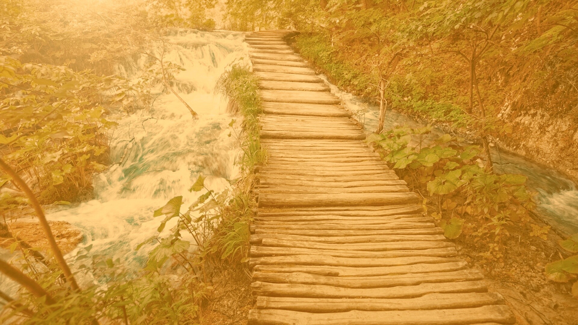 Деревянная дорожка над ручьем обои