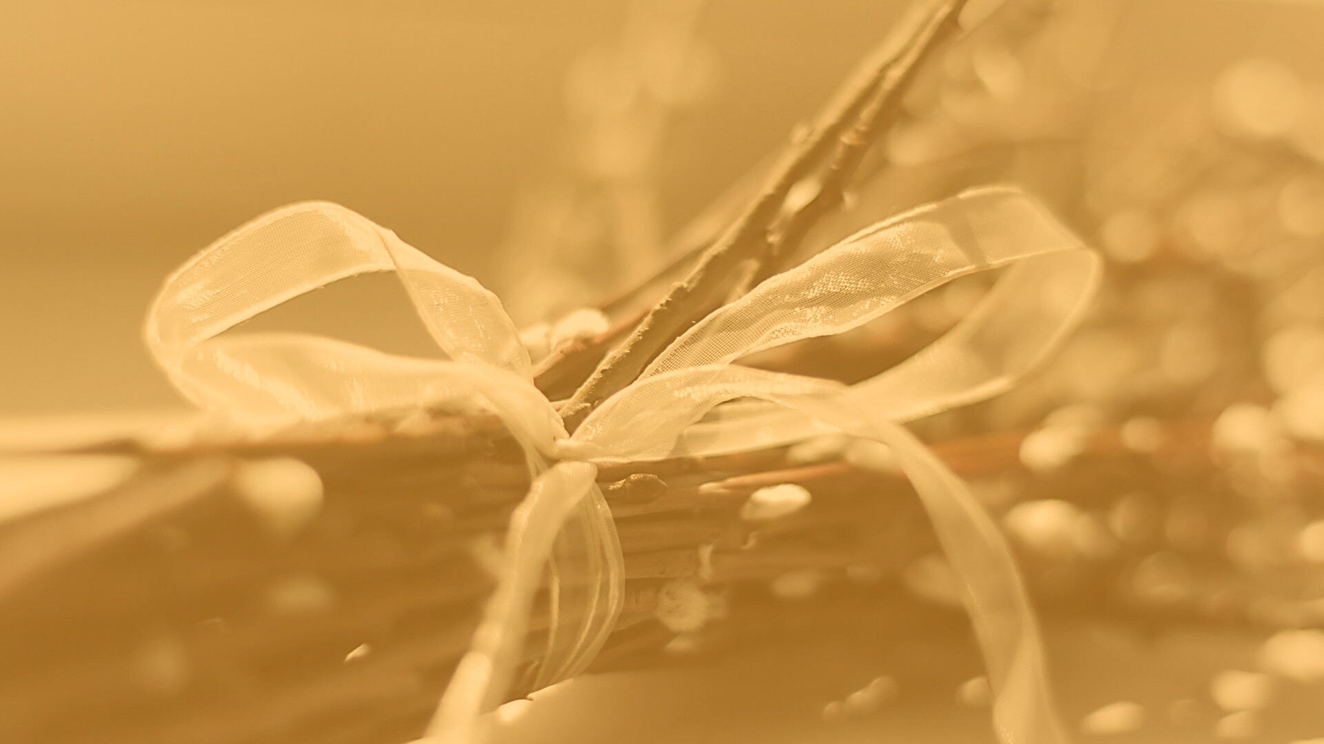 Букет вербы обои